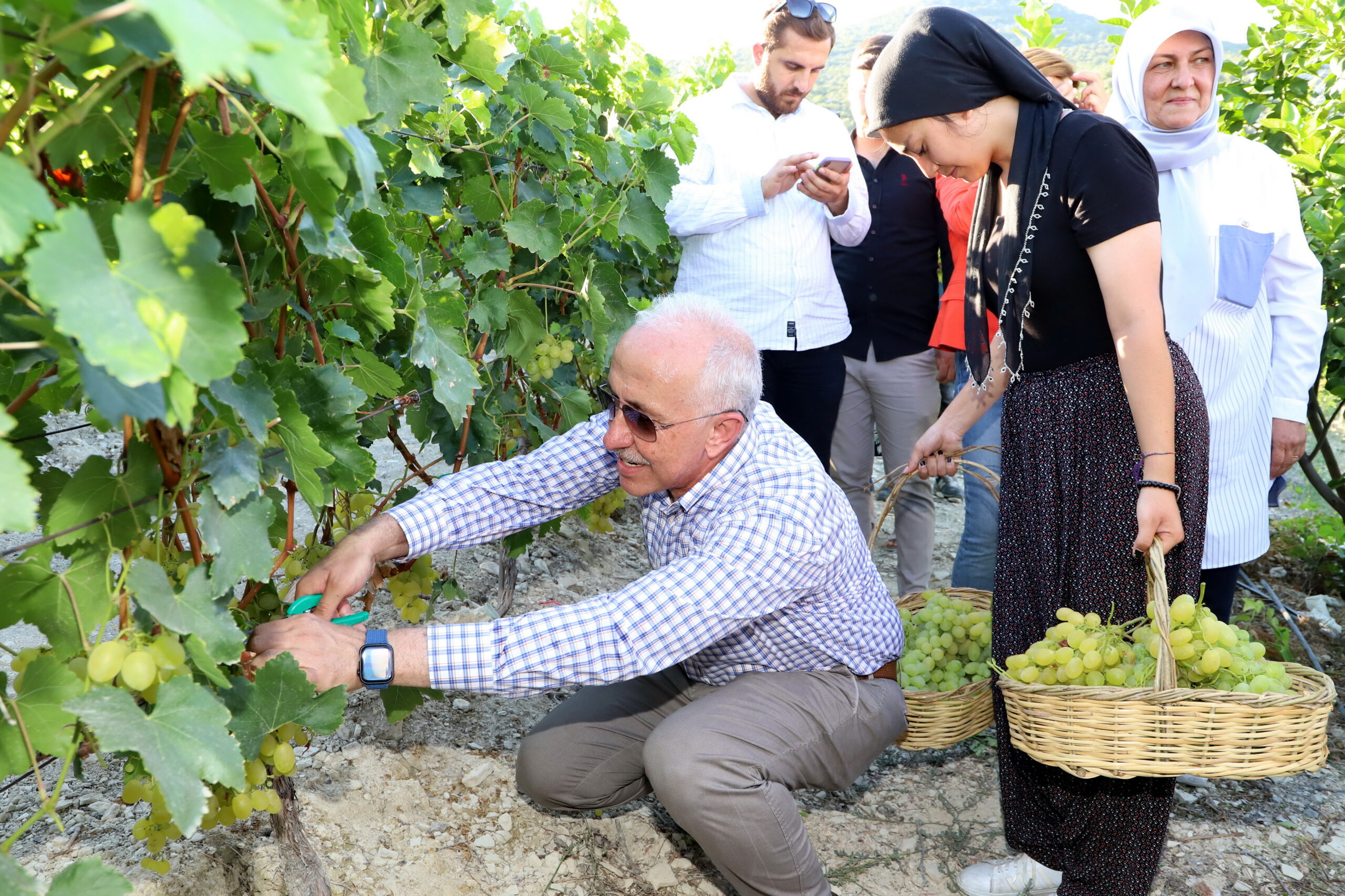 Akdeniz Belediyesi tarafından bölge