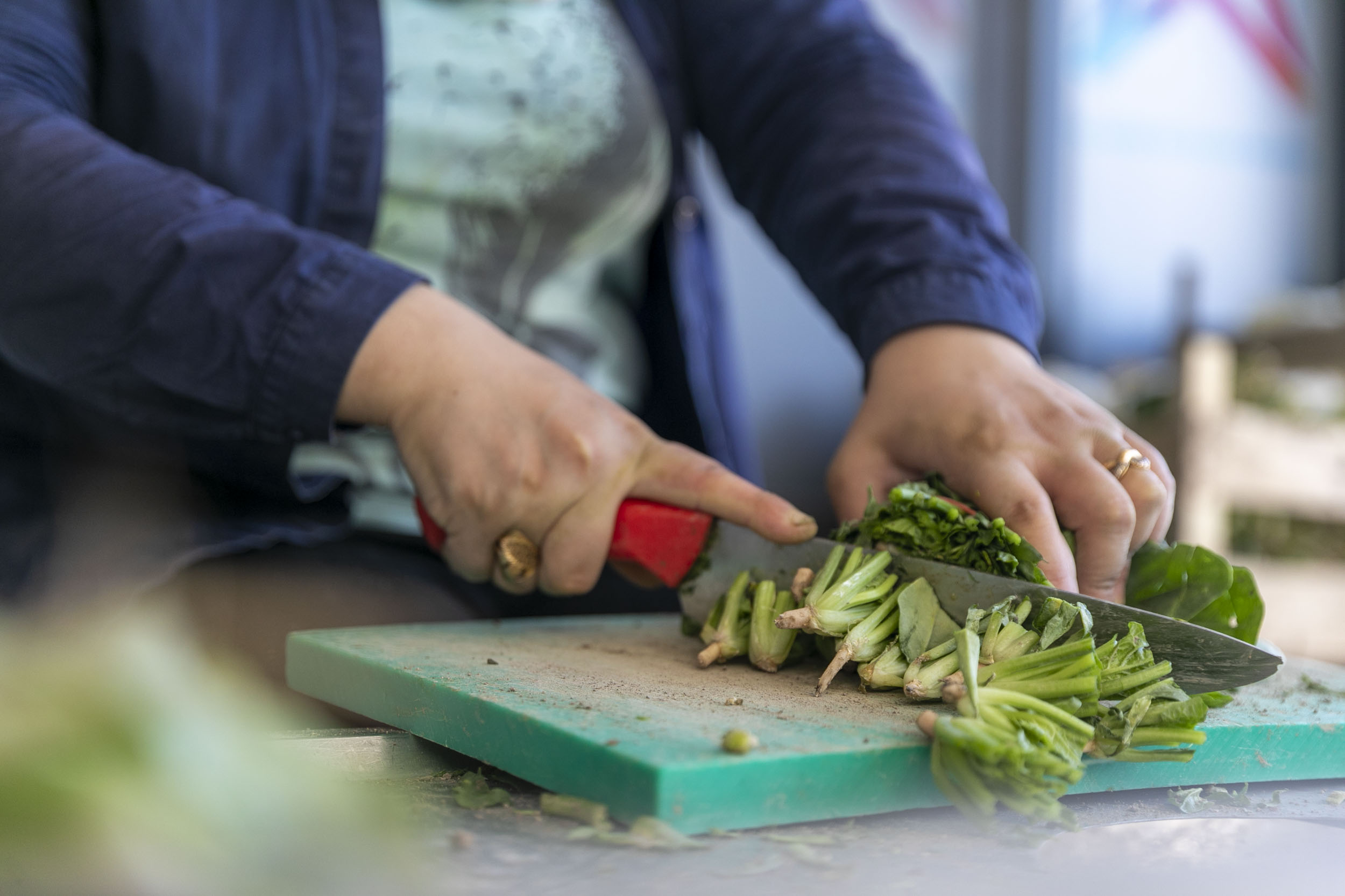 Birleşmiş Milletler Uluslararası Göç