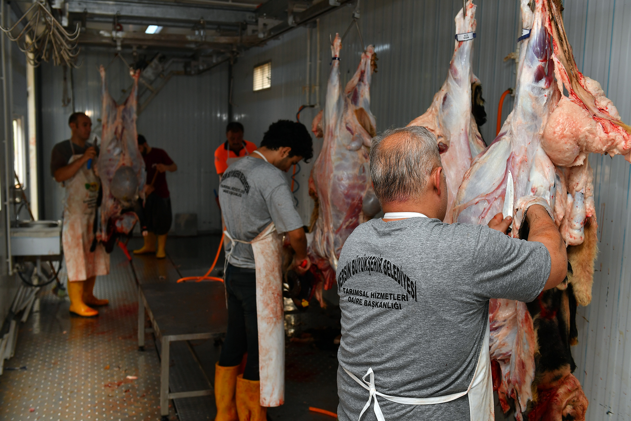 Mersin Büyükşehir Belediyesi’nin ücretsiz