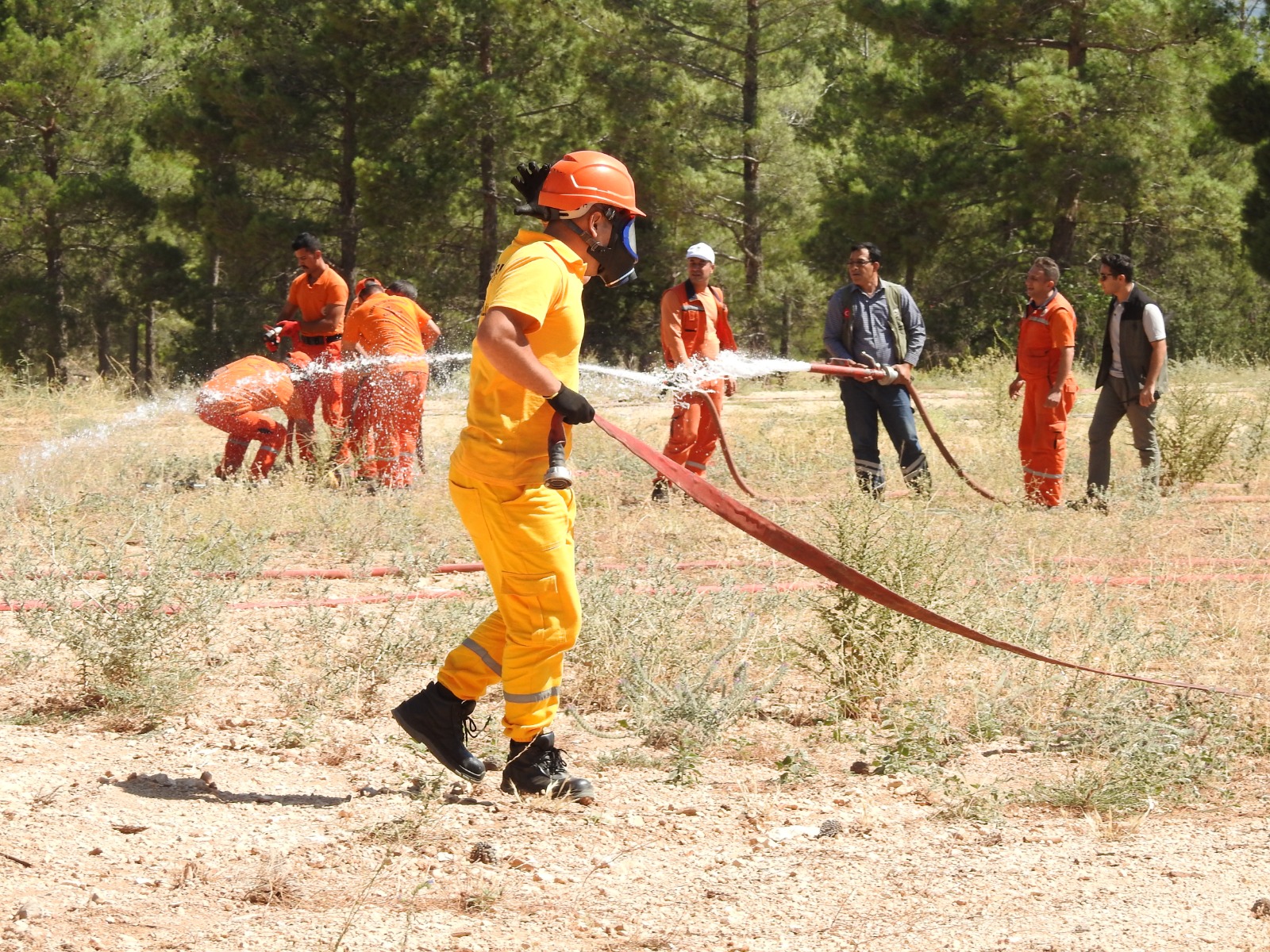 Orman Genel Müdürlüğümüzce, Konya