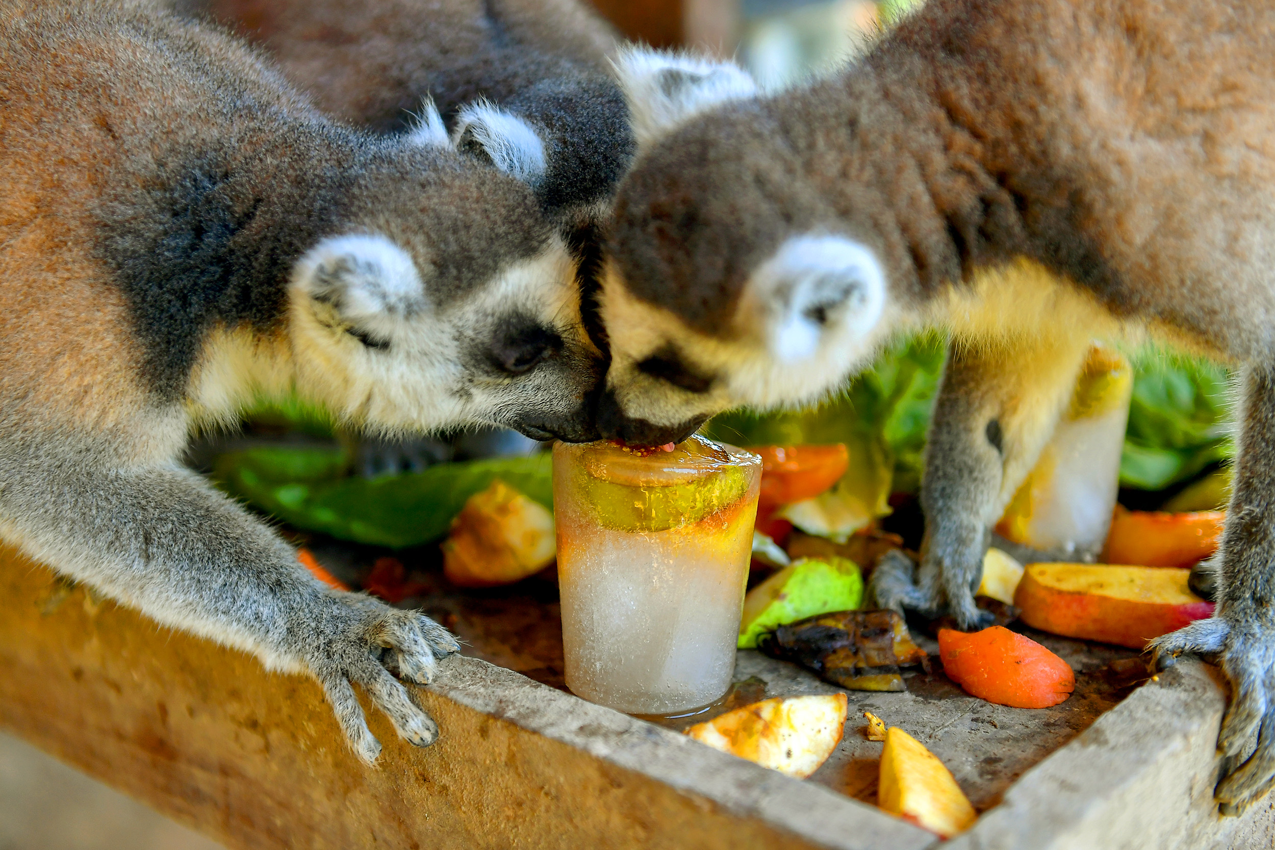 Eşsiz güzelliği ve bünyesinde