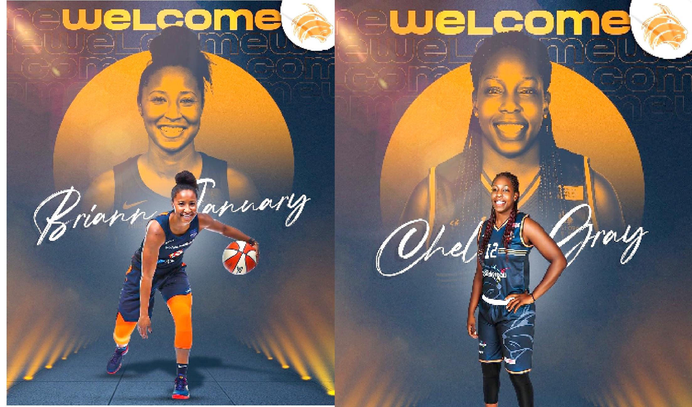 Çukurova Basketbol Kulübü (ÇBK)