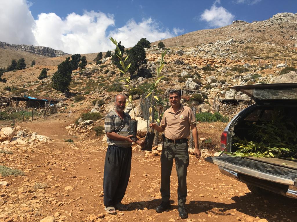 Mersin Orman Bölge Müdürlüğümüze