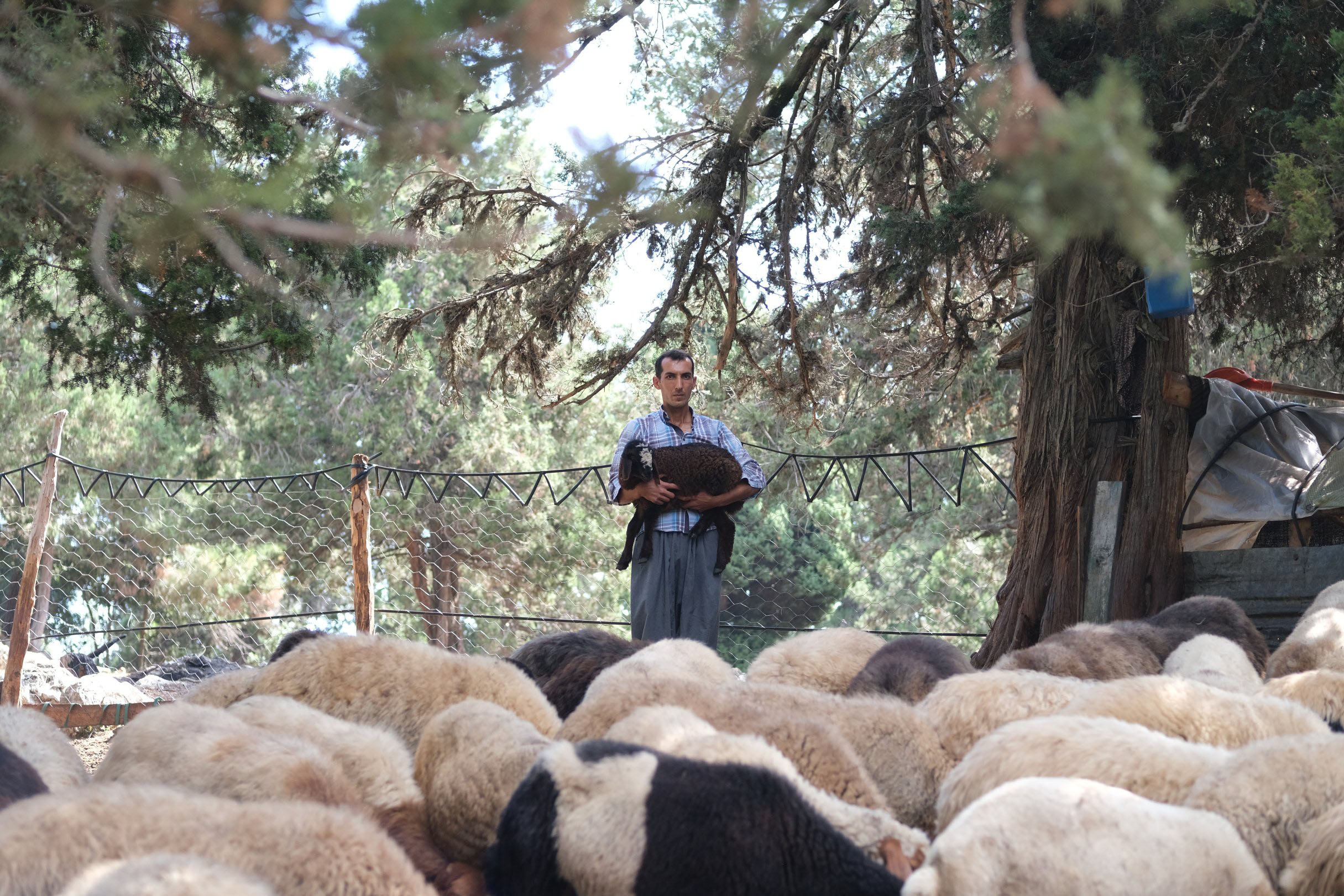 Pandemi nedeniyle işsiz kalan