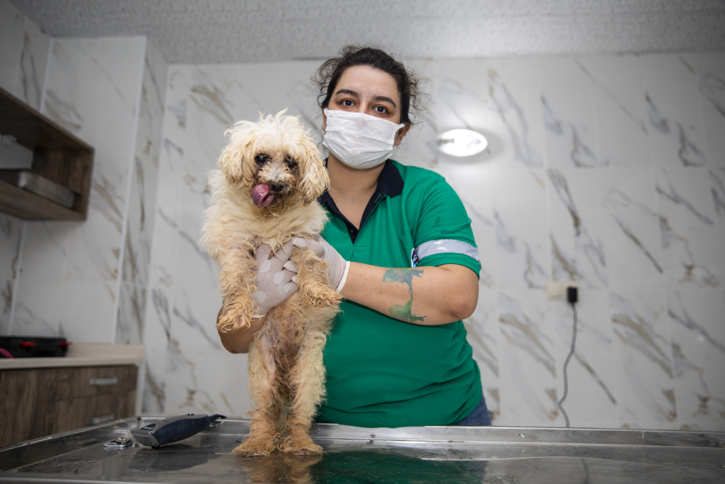 Mersin Büyükşehir Belediyesi Kaşlı