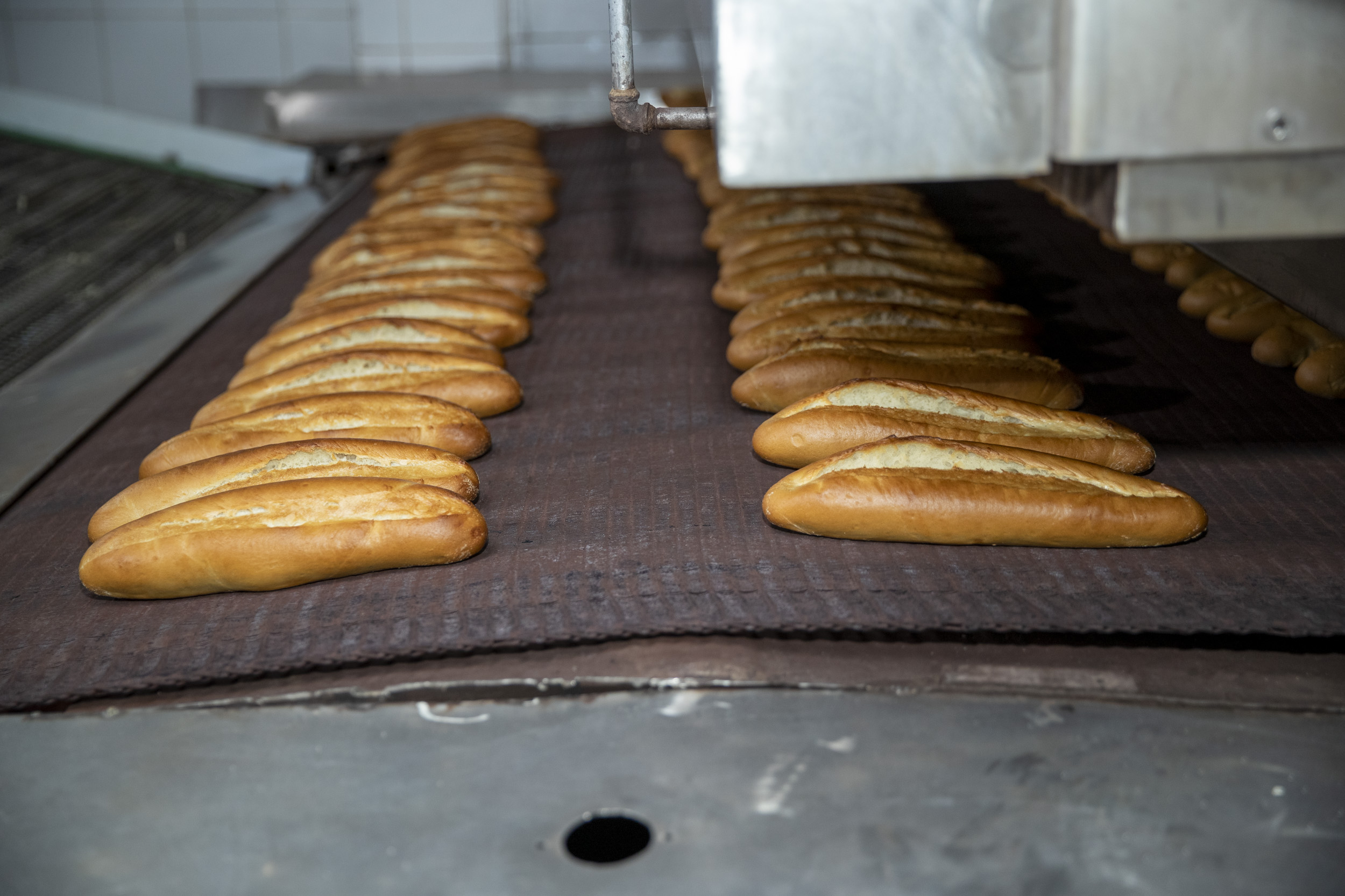 Mersin Büyükşehir Belediyesi’ne bağlı