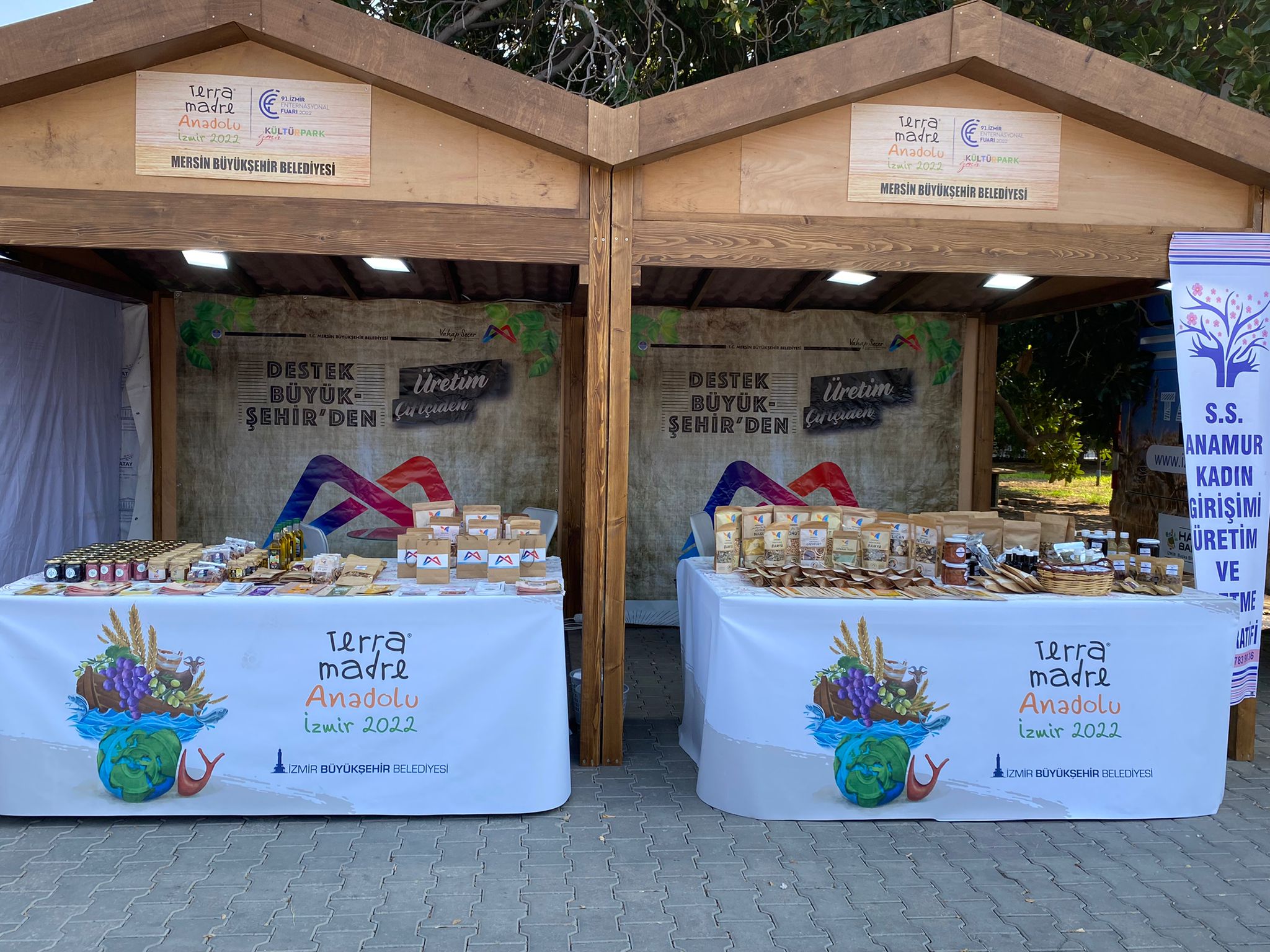 Mersin Büyükşehir Belediyesi, Türkiye