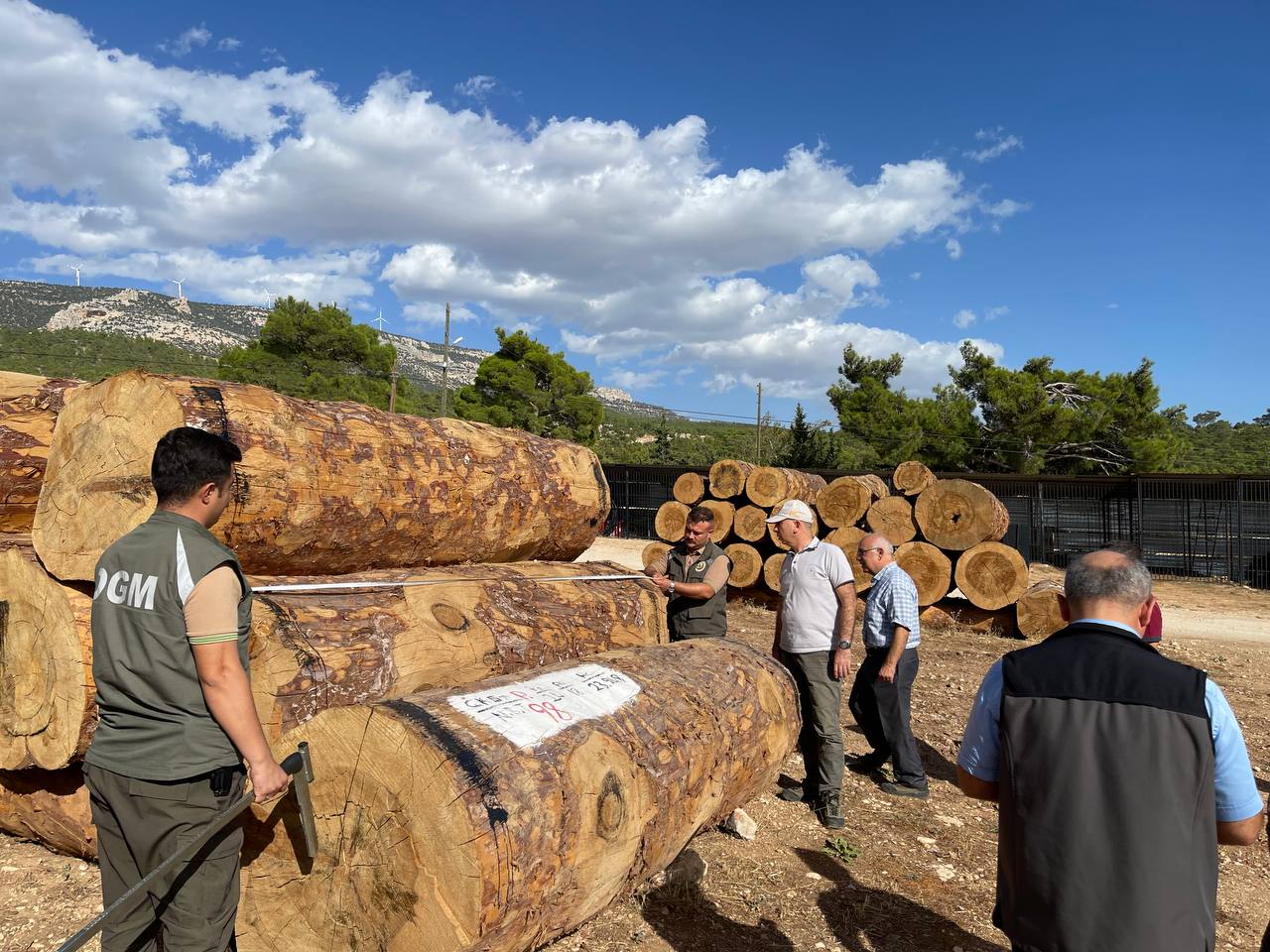 Mersin Orman Bölge Müdür