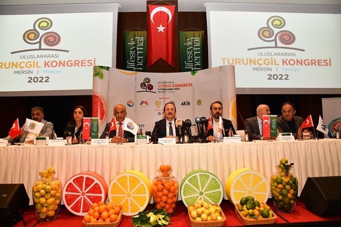 Valimiz Ali Hamza Pehlivan