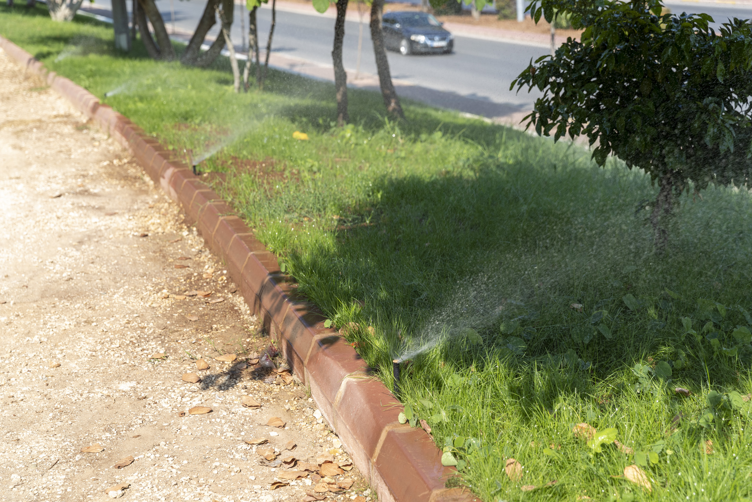 Mersin Büyükşehir Belediyesi, bir