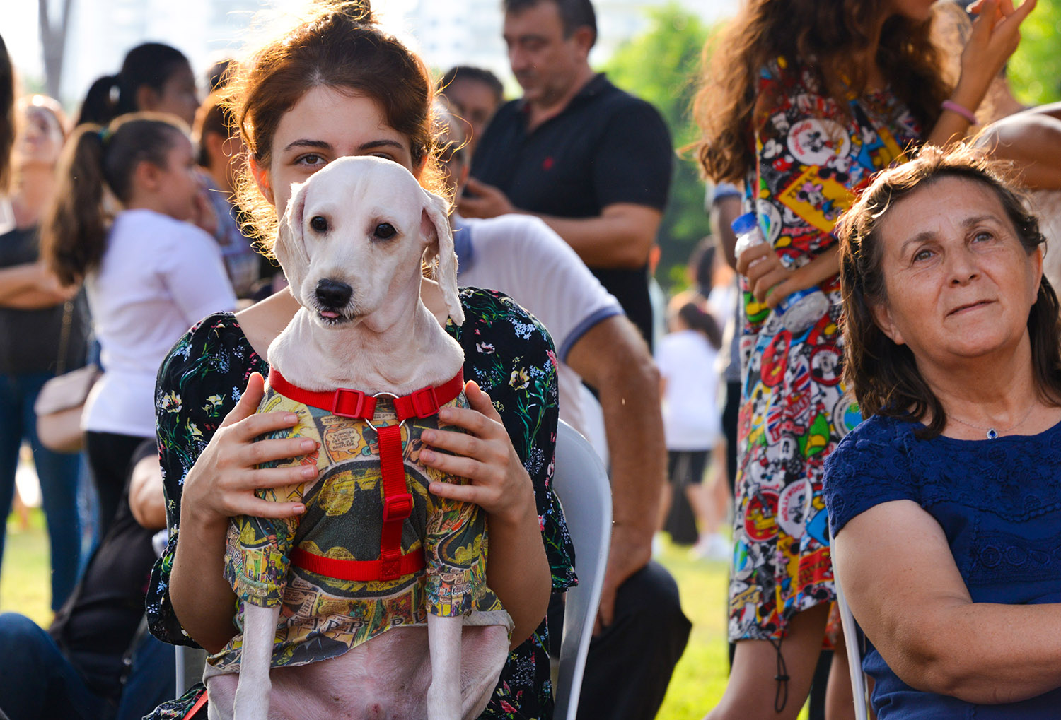 Mersin Büyükşehir Belediyesi tarafından,