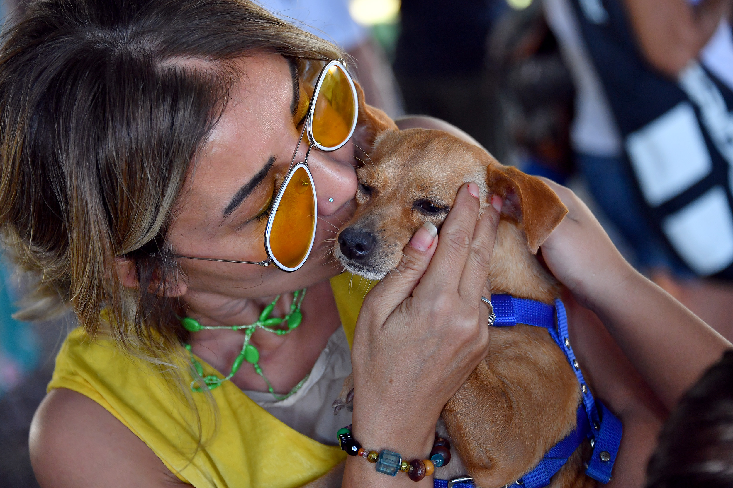 Mersin Büyükşehir Belediyesi tarafından