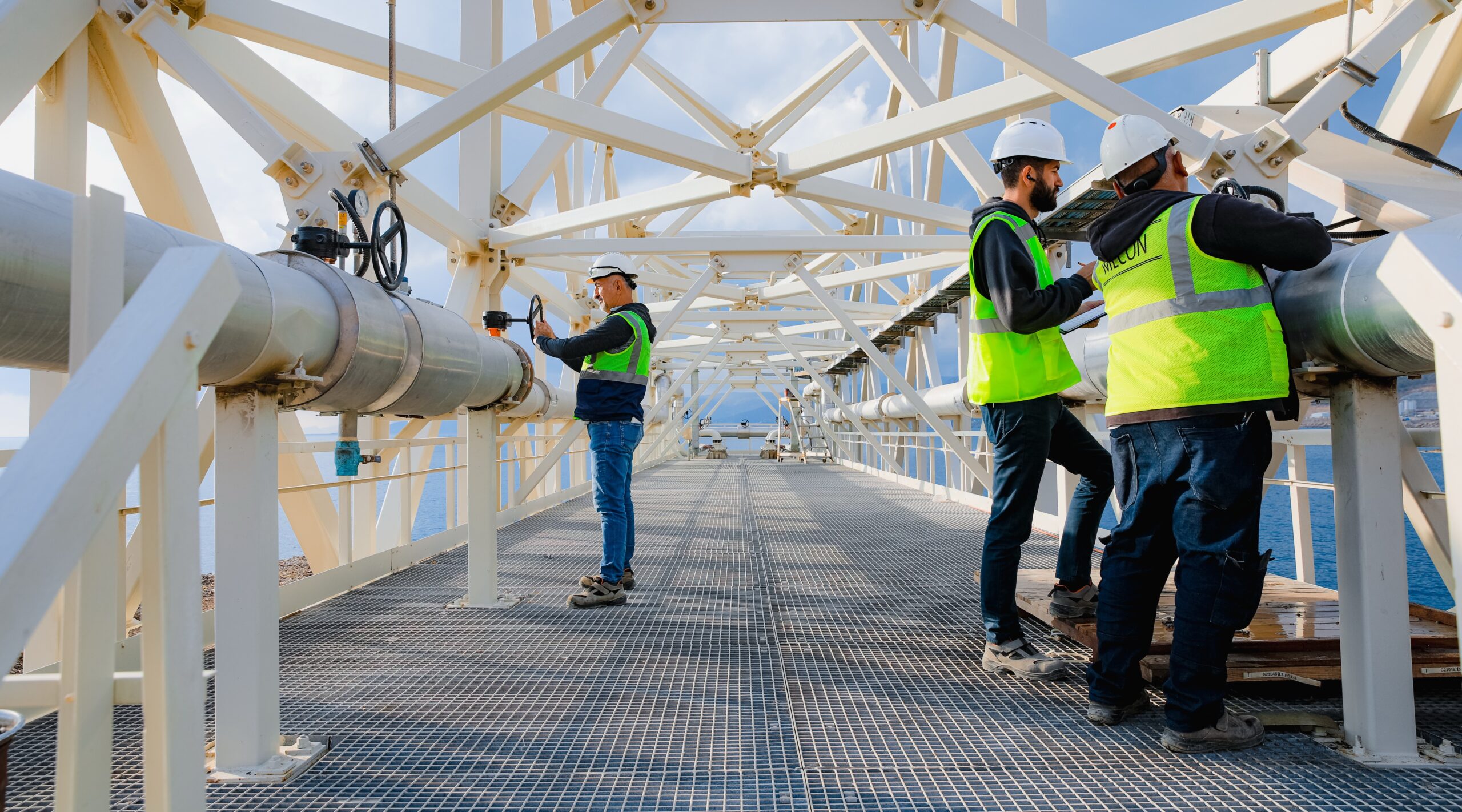 Akkuyu Nükleer Güç Santrali