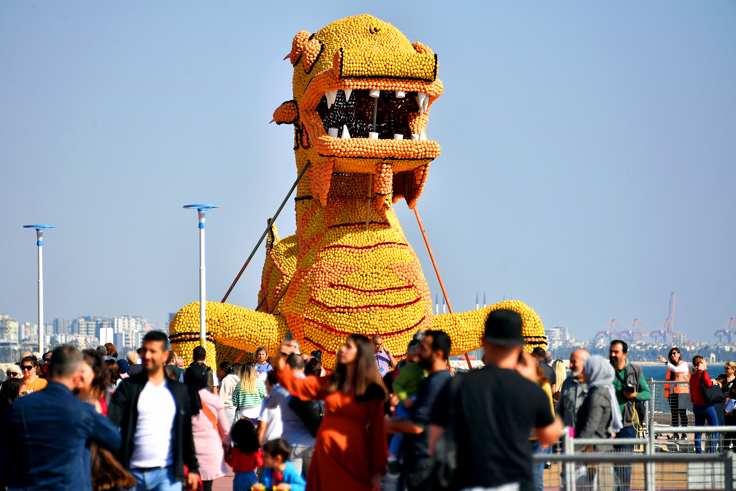 Bu yıl 8.’si düzenlenen