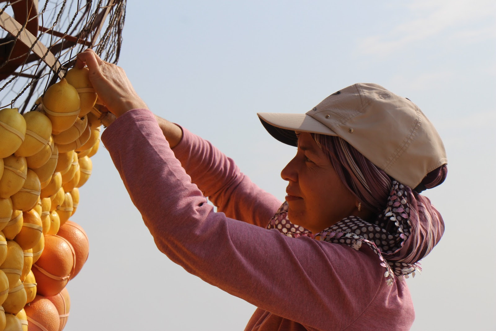 ‘Mersin Narenciyedir, Narenciye Hayattır’