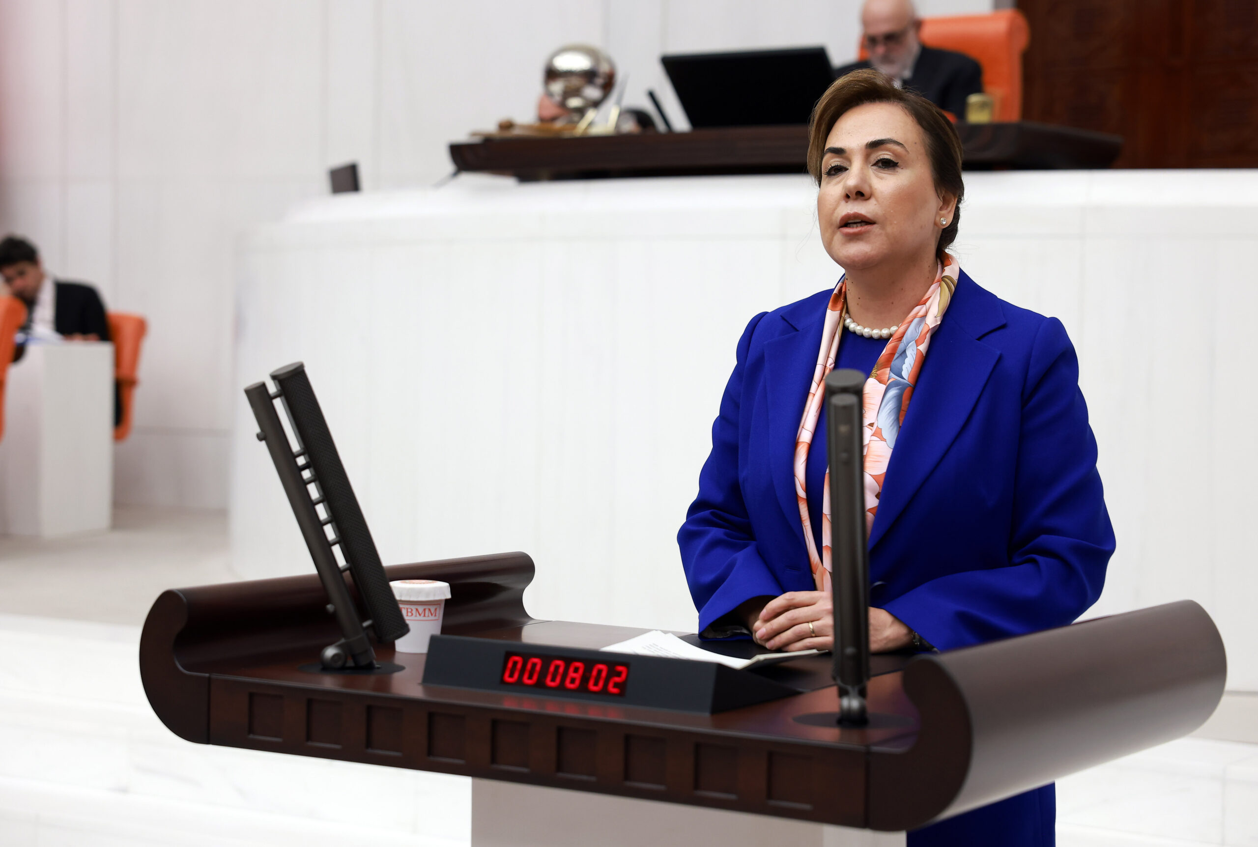 AK Parti Mersin Milletvekili
