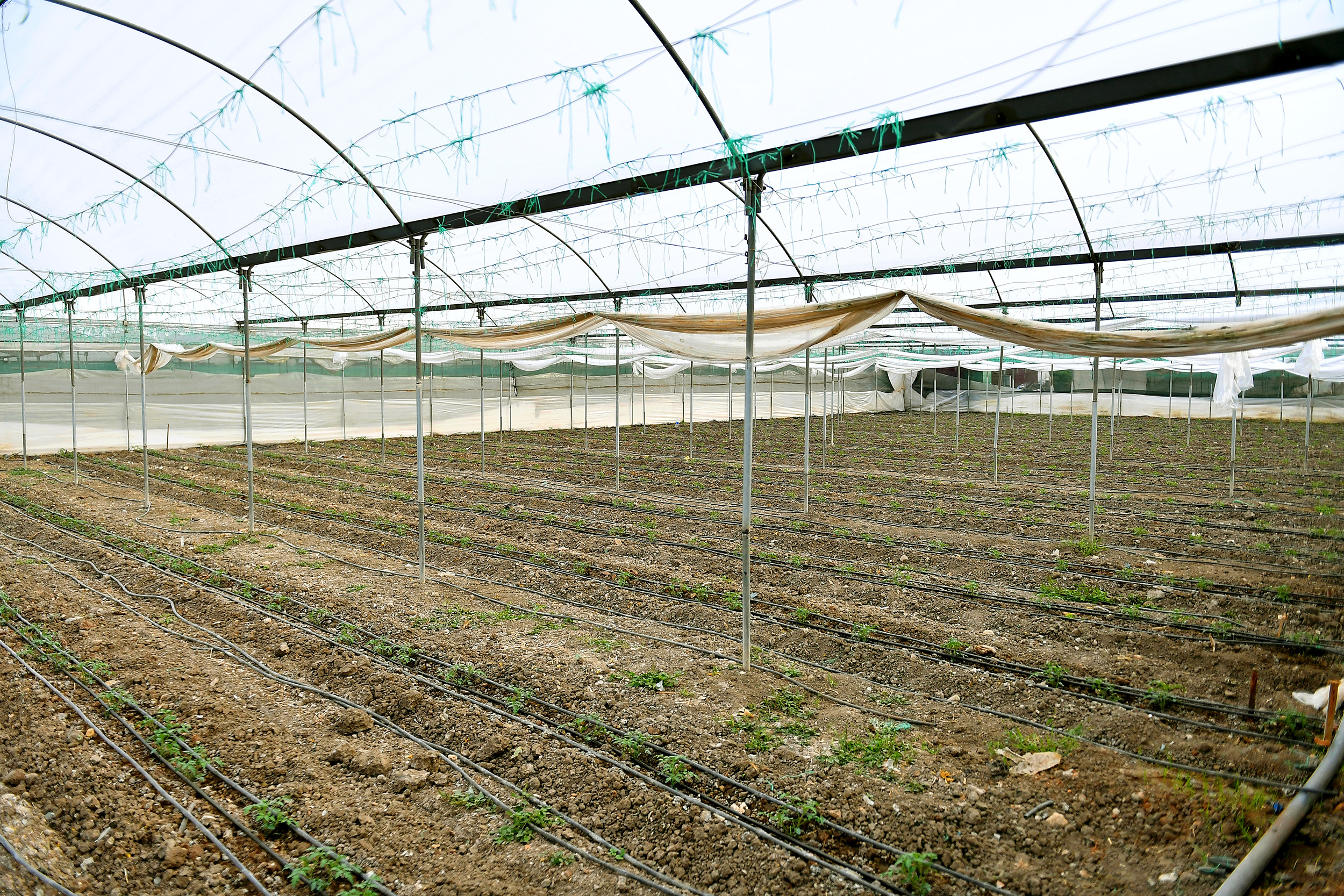 Mersin Büyükşehir Belediyesi, hayatın