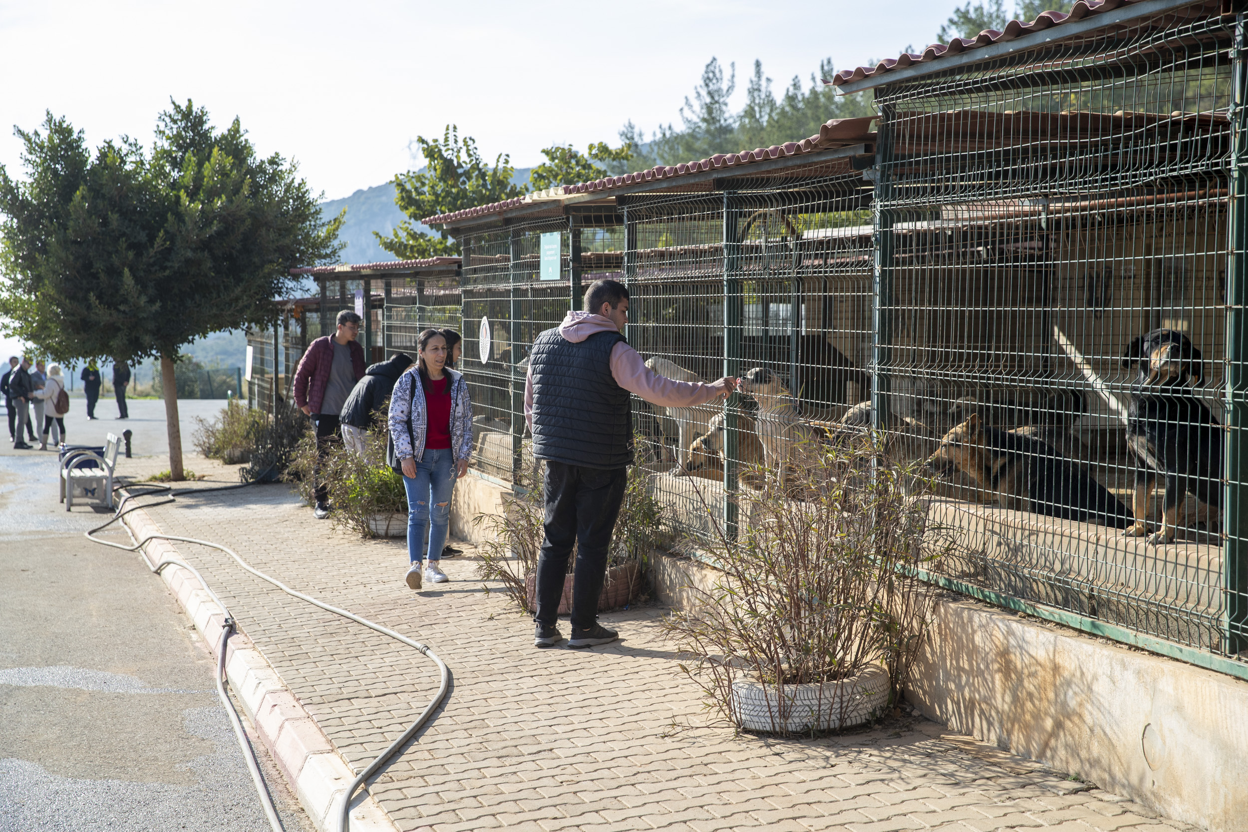Mersin’deki hayvanseverler, Kaşlı Geçici