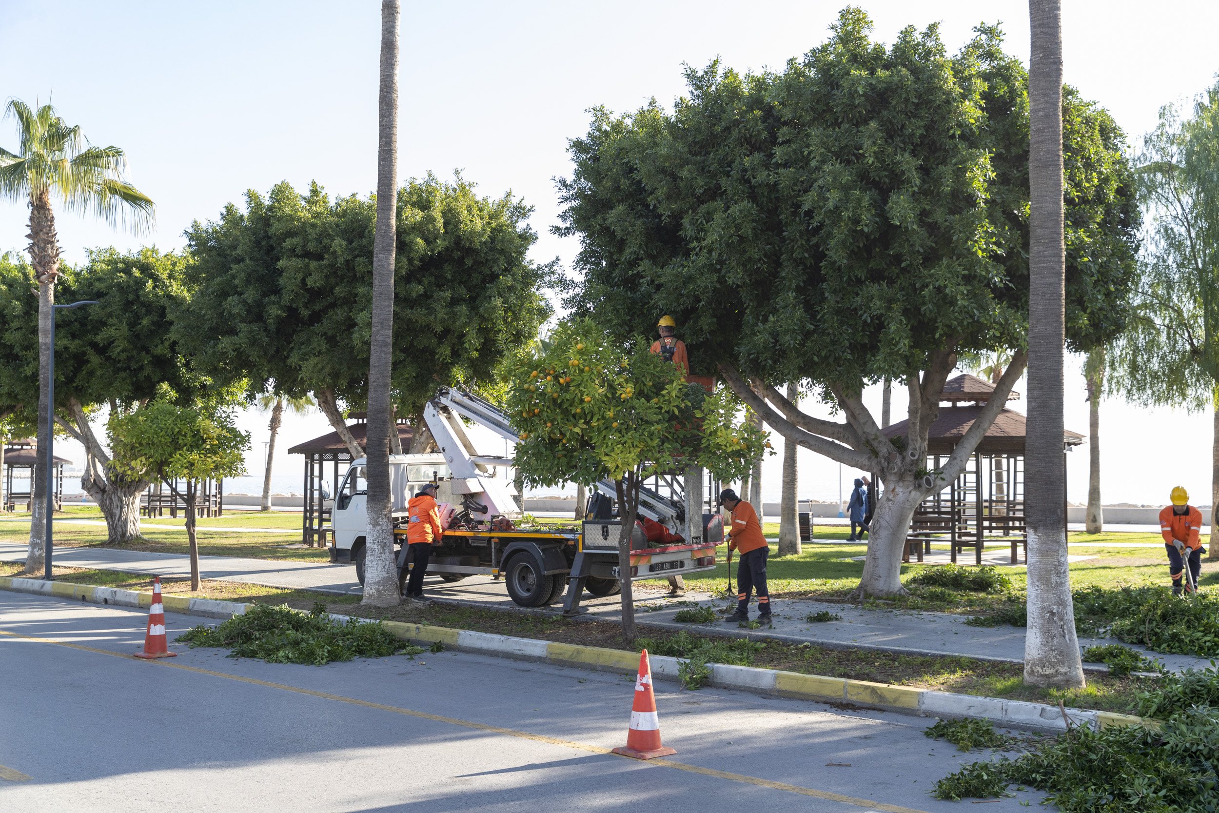 Mersin Büyükşehir Belediyesi Park