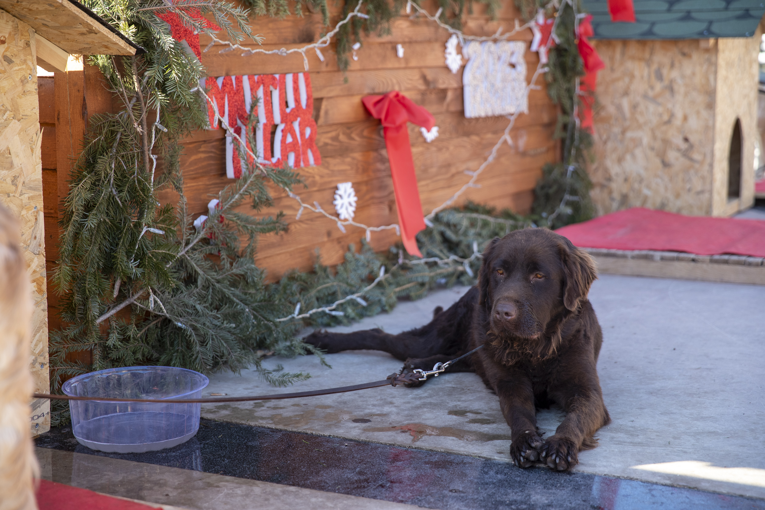 Mersin Büyükşehir Belediyesi Tarımsal