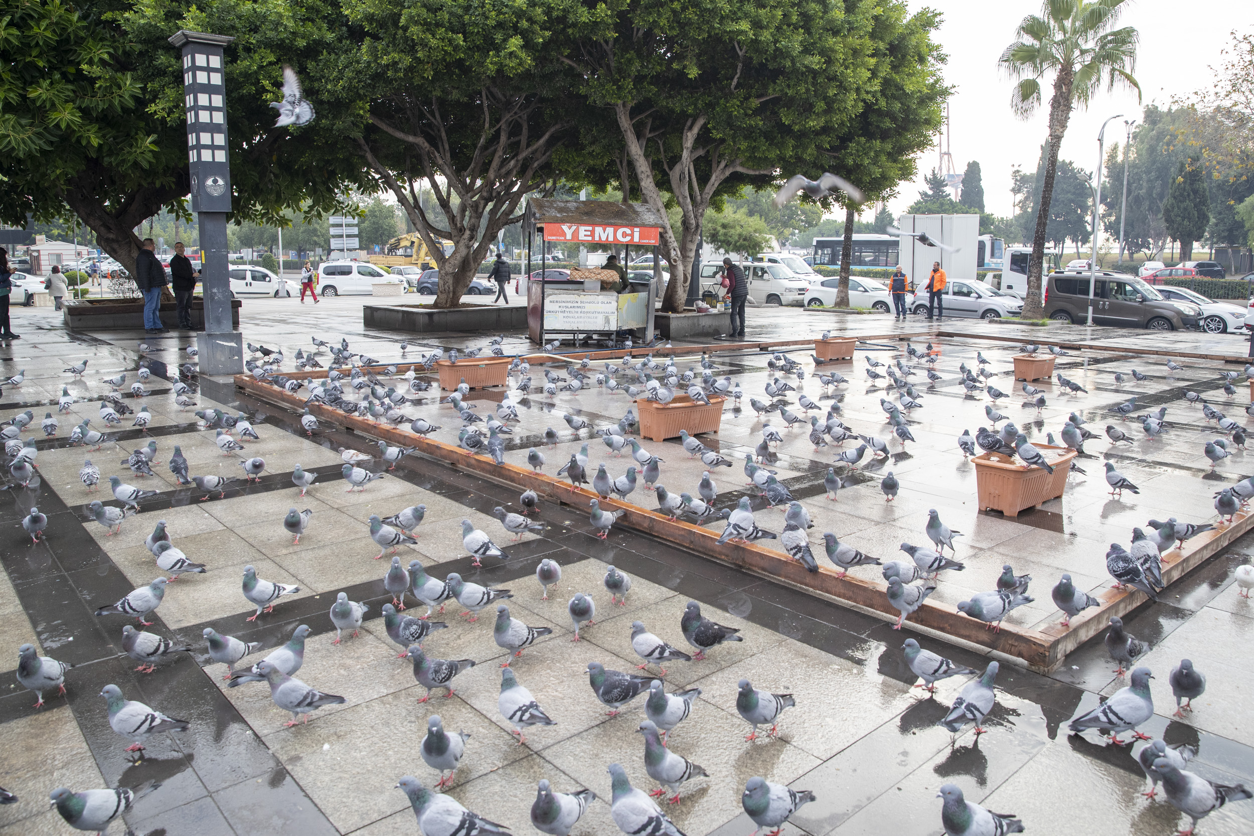 Mersin Büyükşehir Belediyesi, Ulu