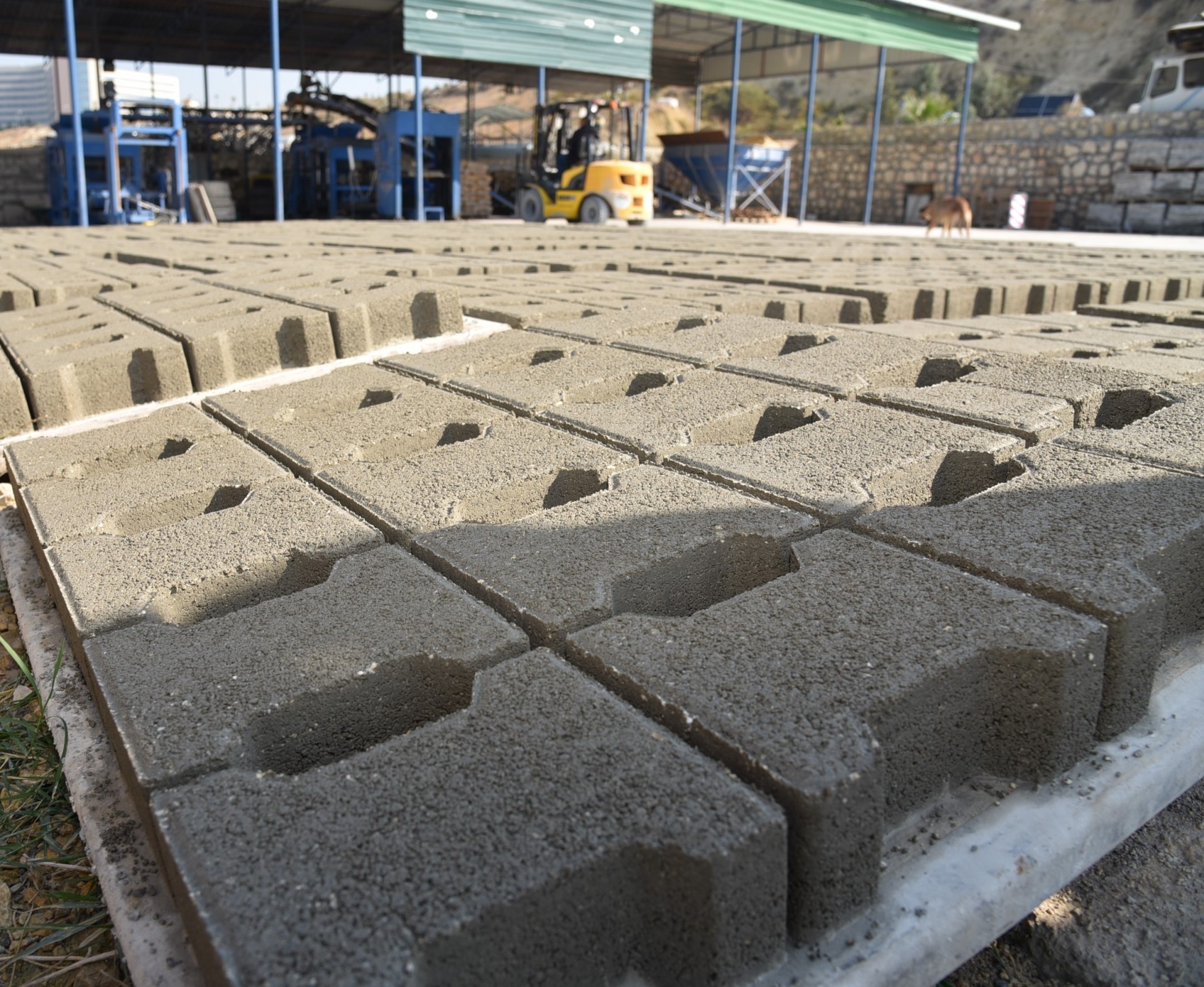 Toroslar Belediyesi, ilçe genelindeki