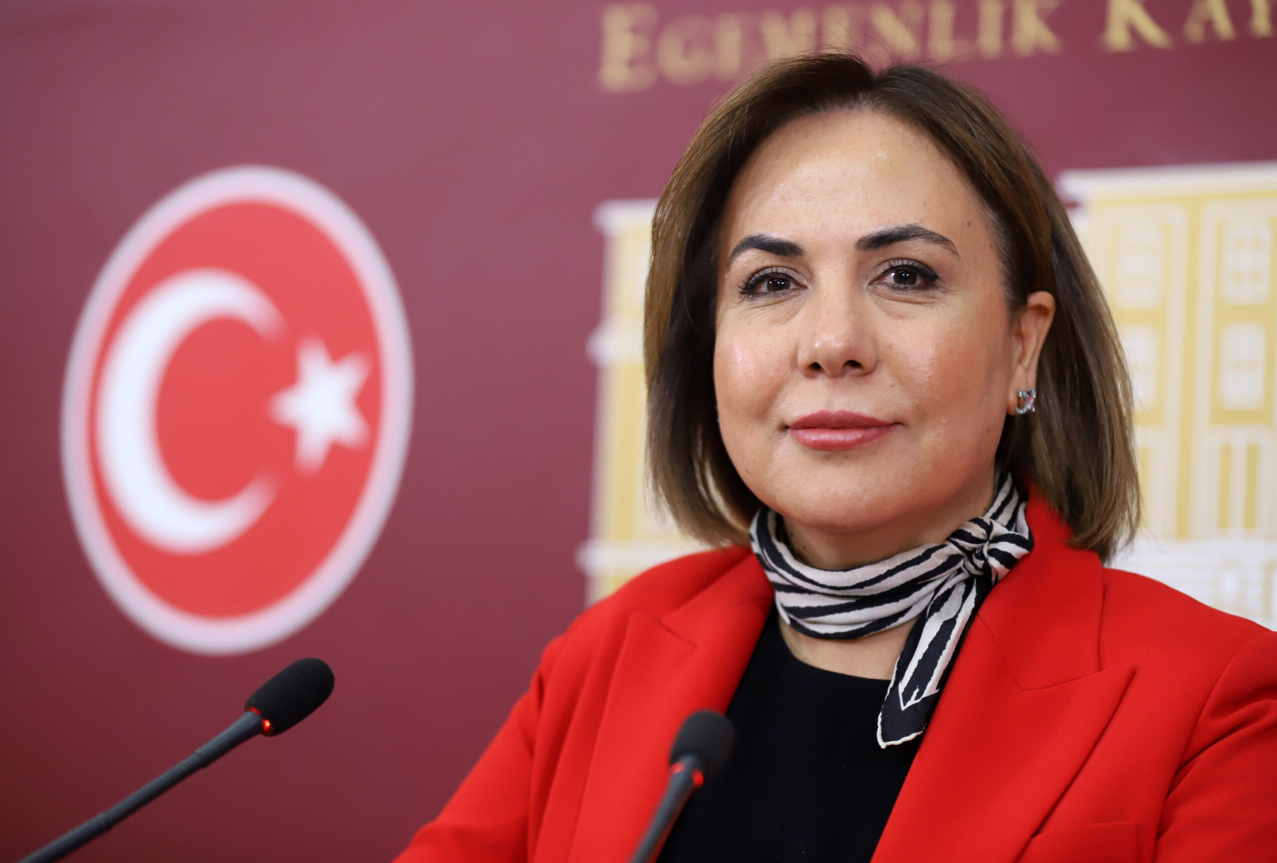 TBMM Anayasa Komisyonu Katip