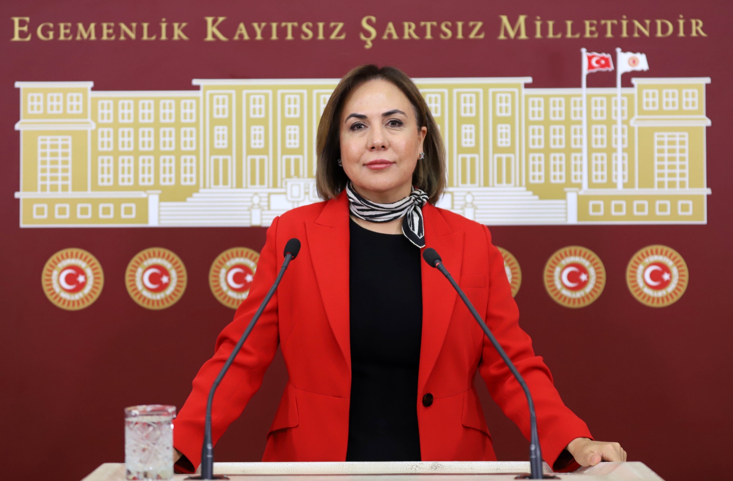 TBMM Anayasa Komisyonu Katip