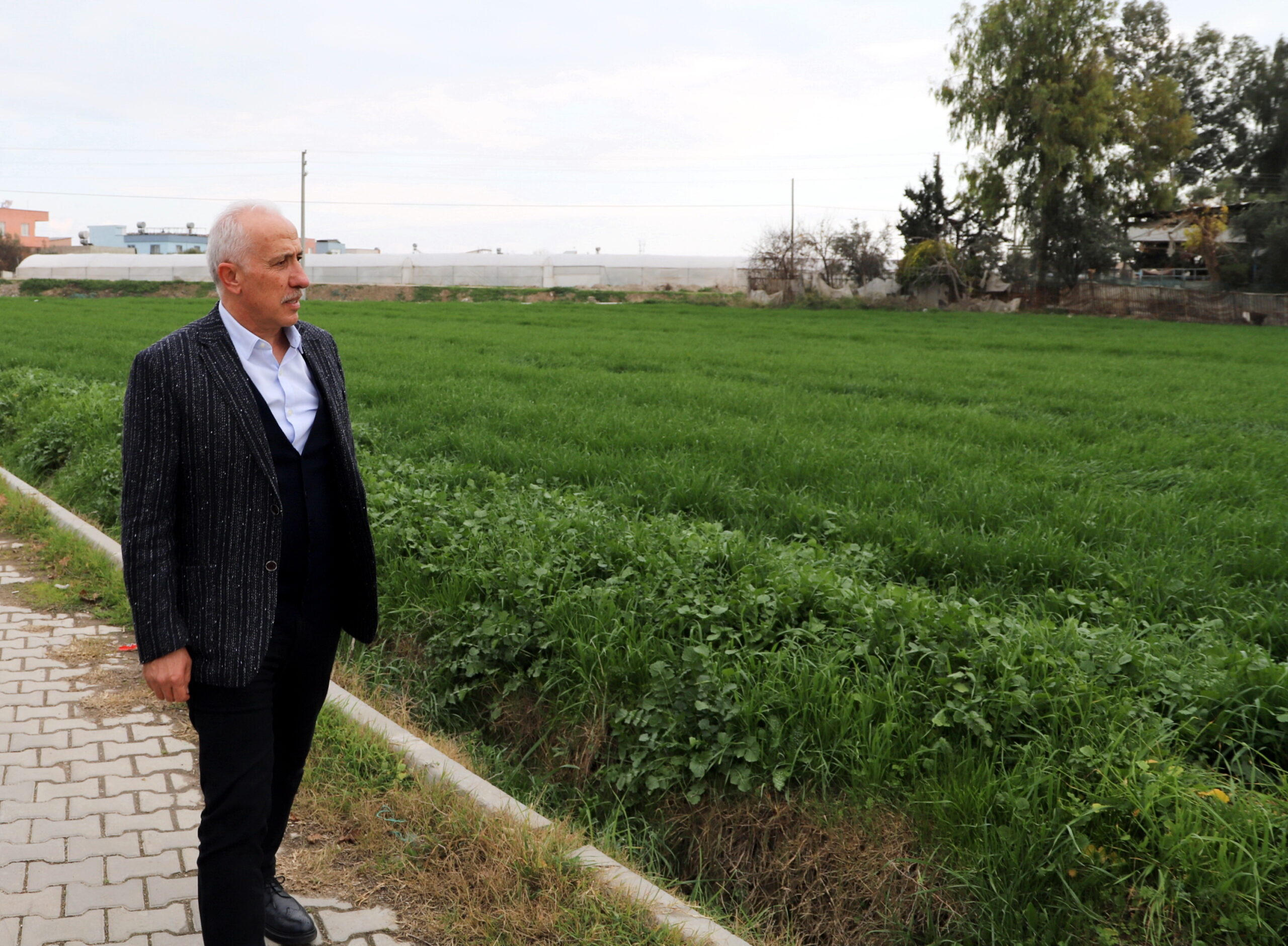 Atalık Karakılçık Buğdayı tohumlarının