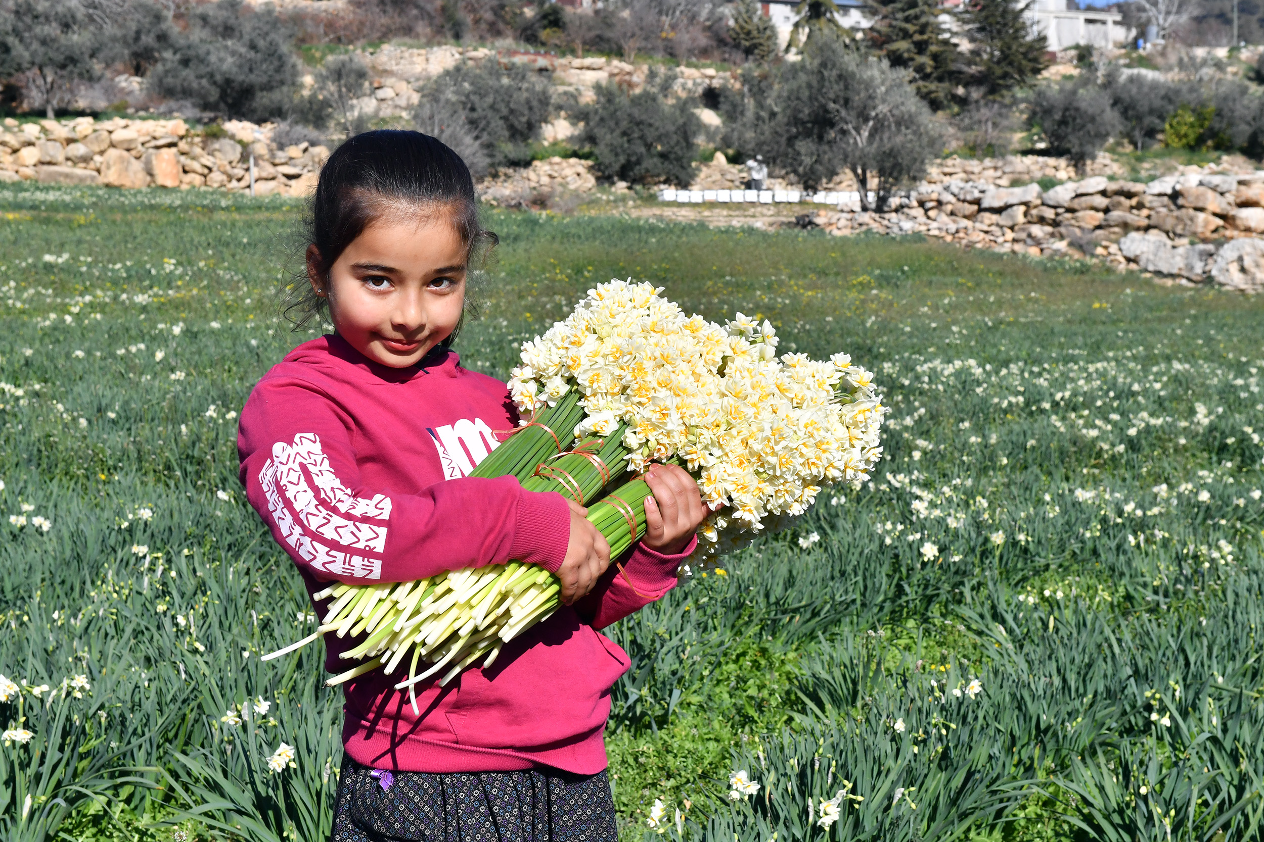 Mersin Büyükşehir Belediyesi, hayata