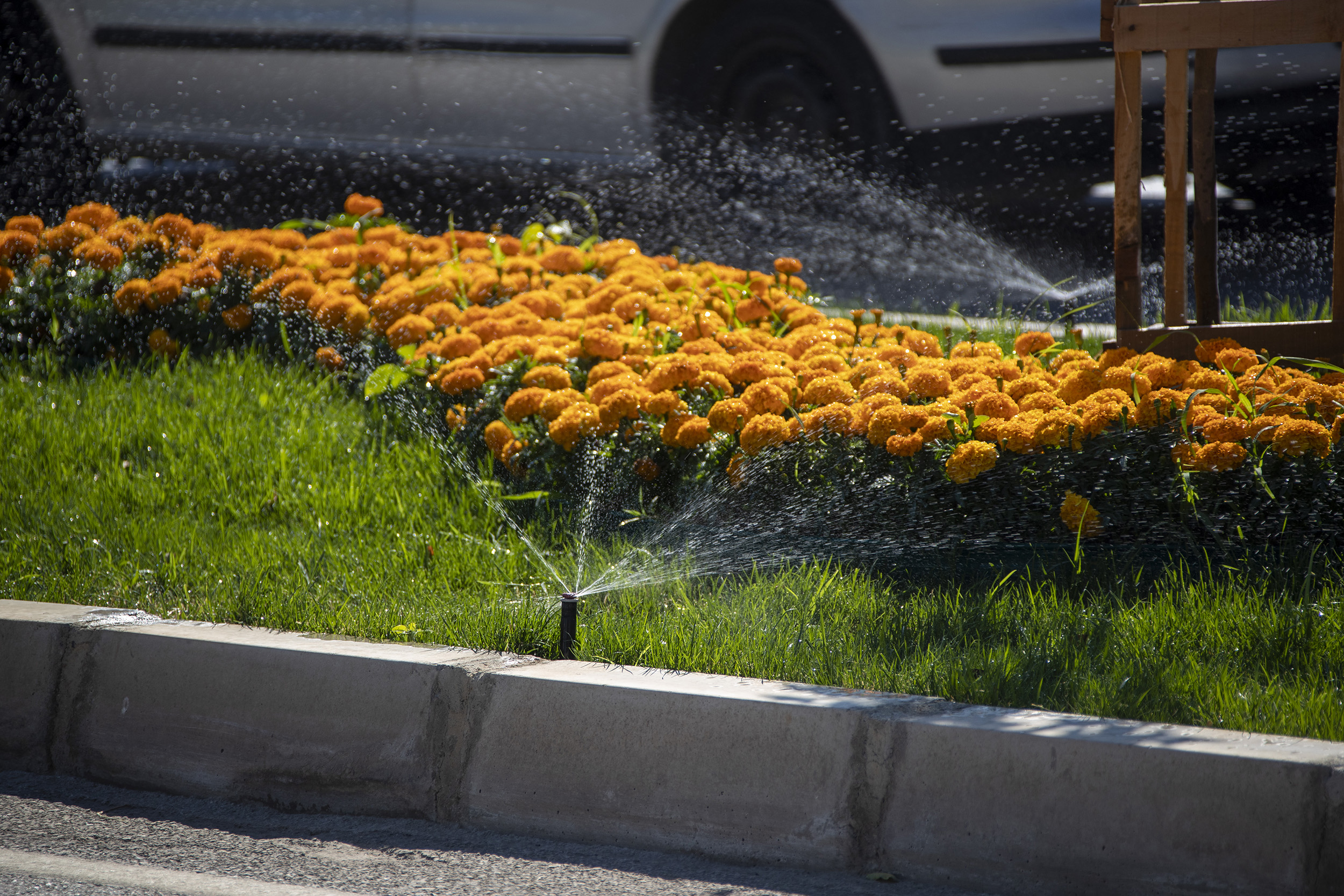 Mersin Büyükşehir Belediyesi Park