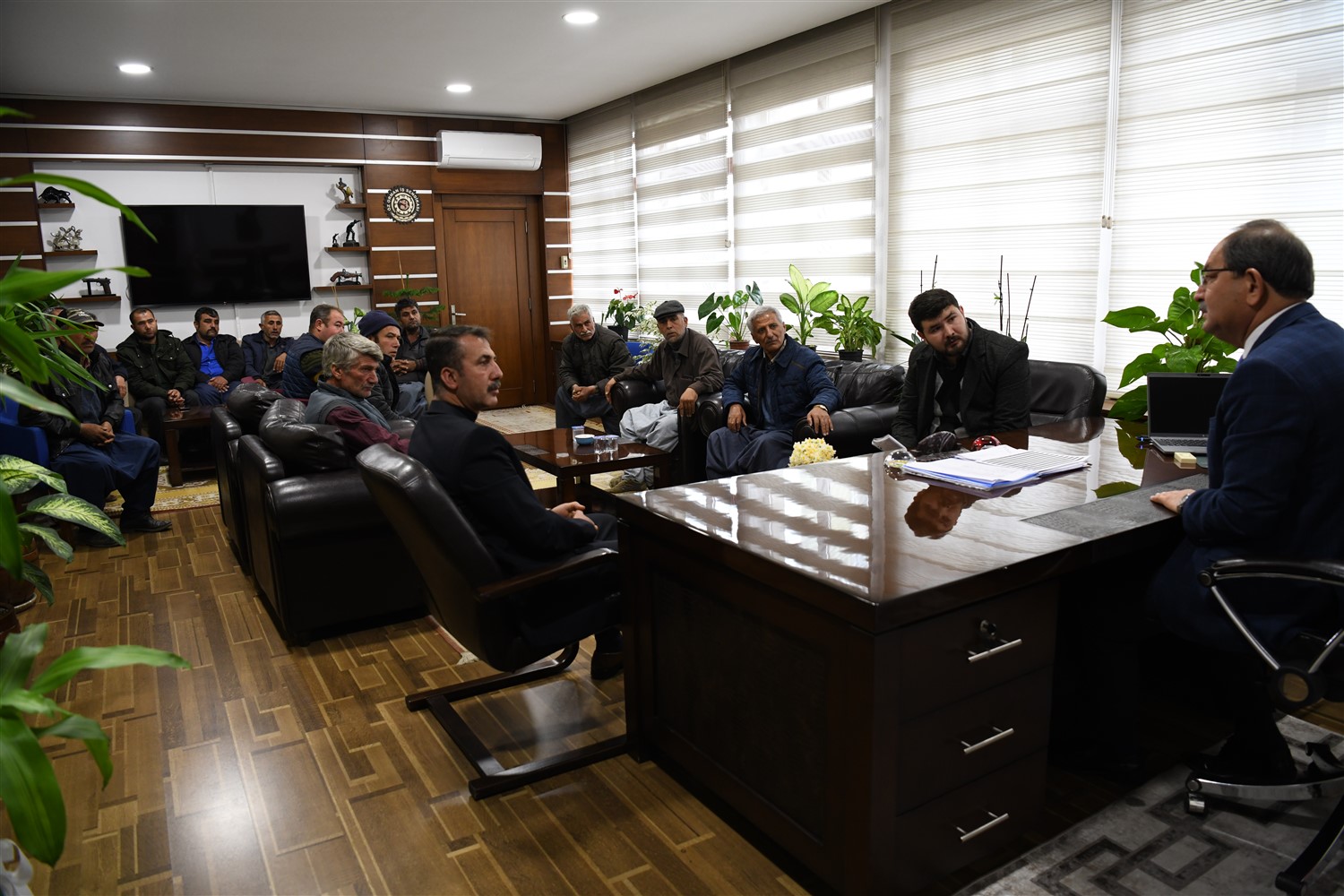 Mersin Damızlık Koyun Keçi