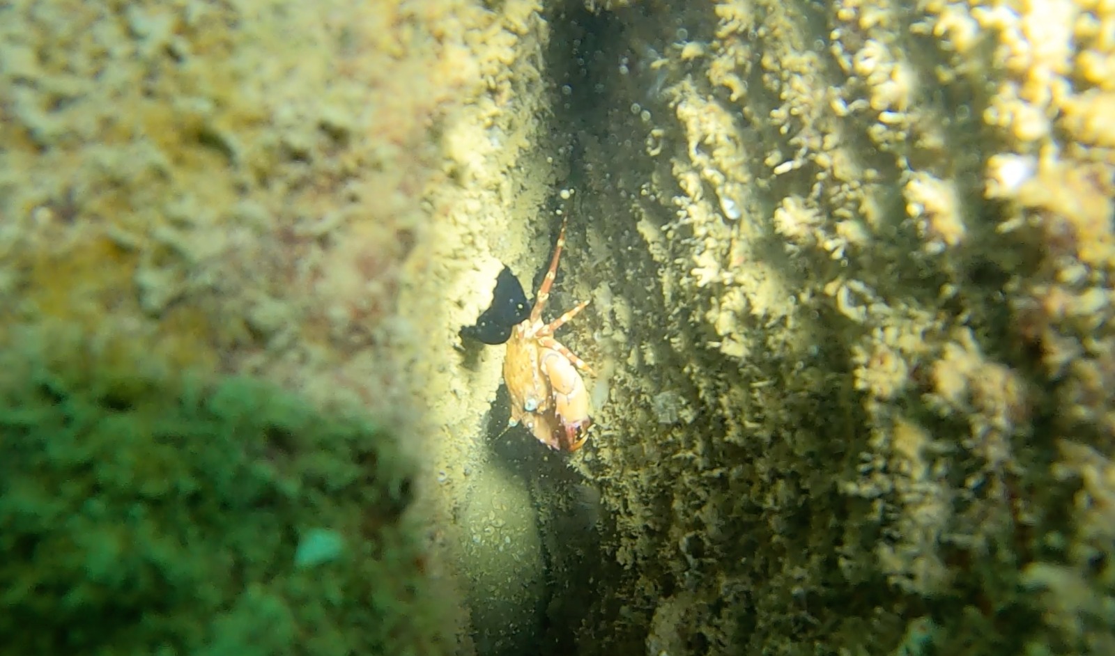 Mersin Büyükşehir Belediyesi’nin yaklaşık