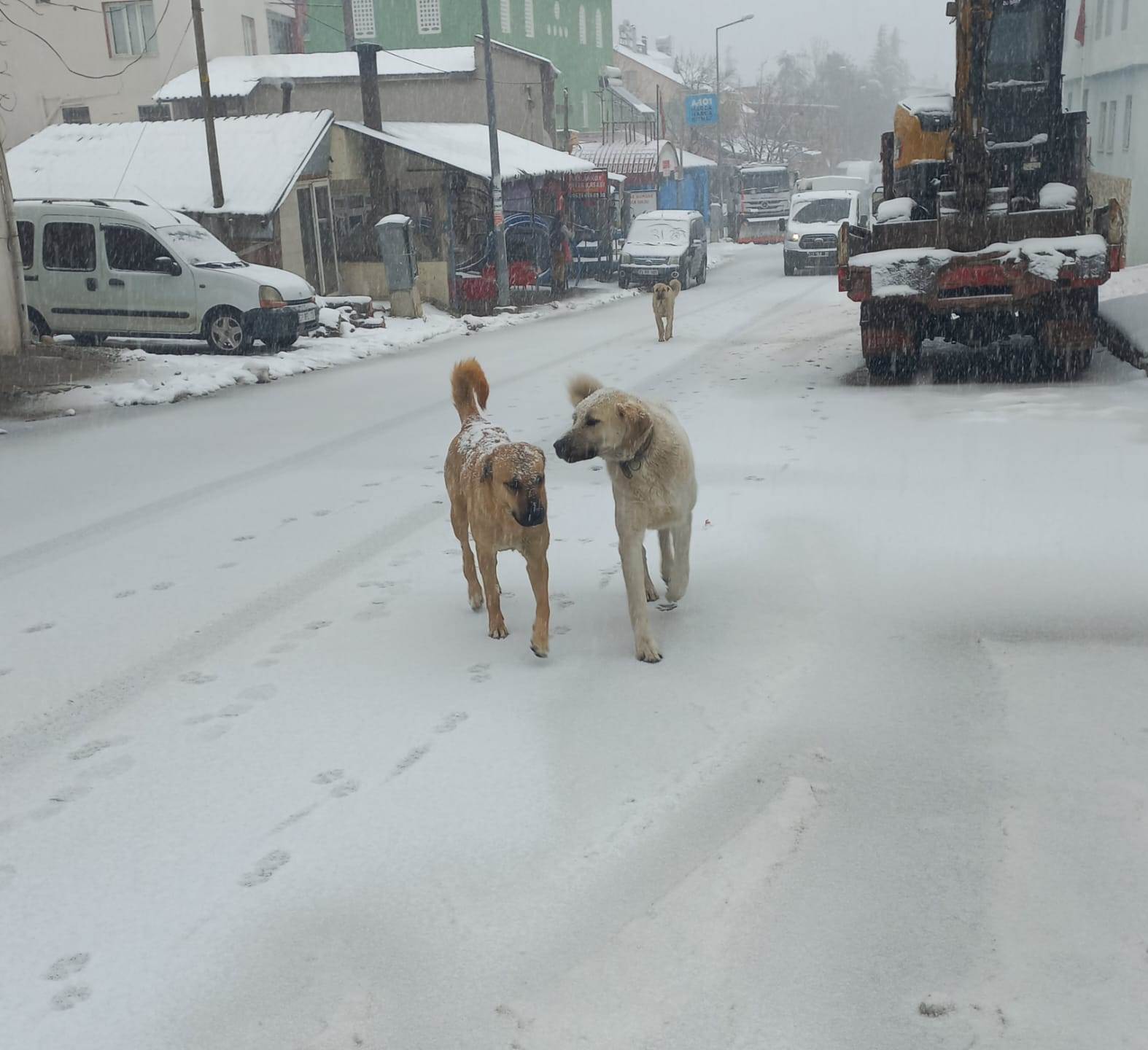 Mersin’in merkez ilçesi Toroslar’ın