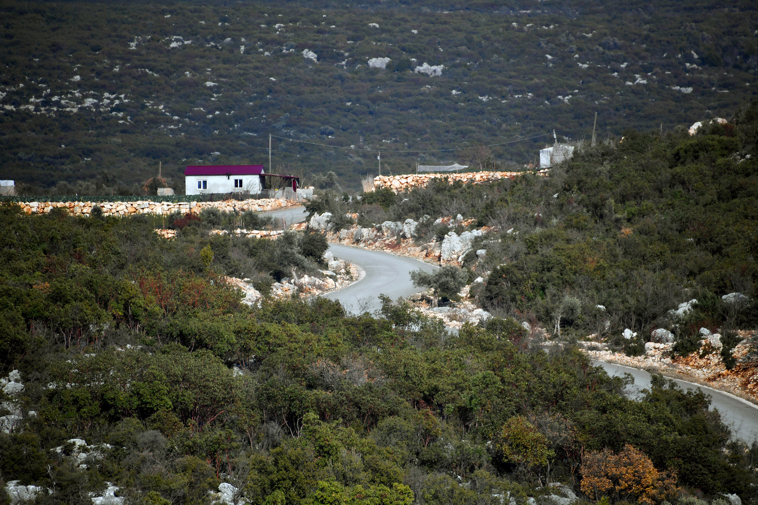 Mersin Büyükşehir Belediye Başkanı