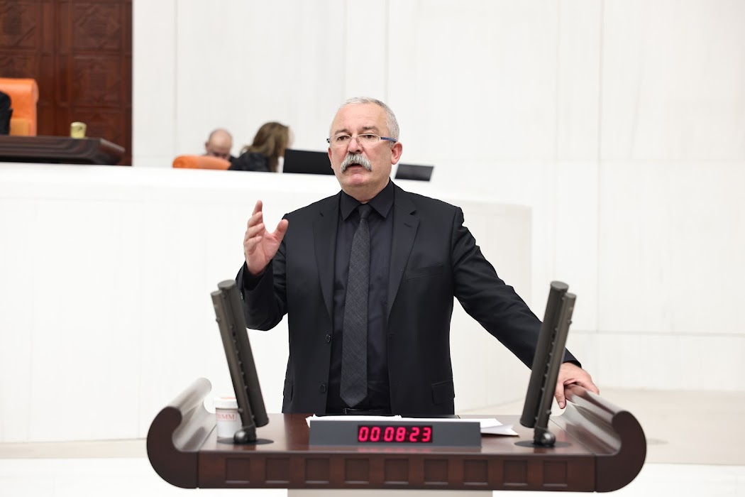 HDP Mersin Milletvekili, Ekonomi