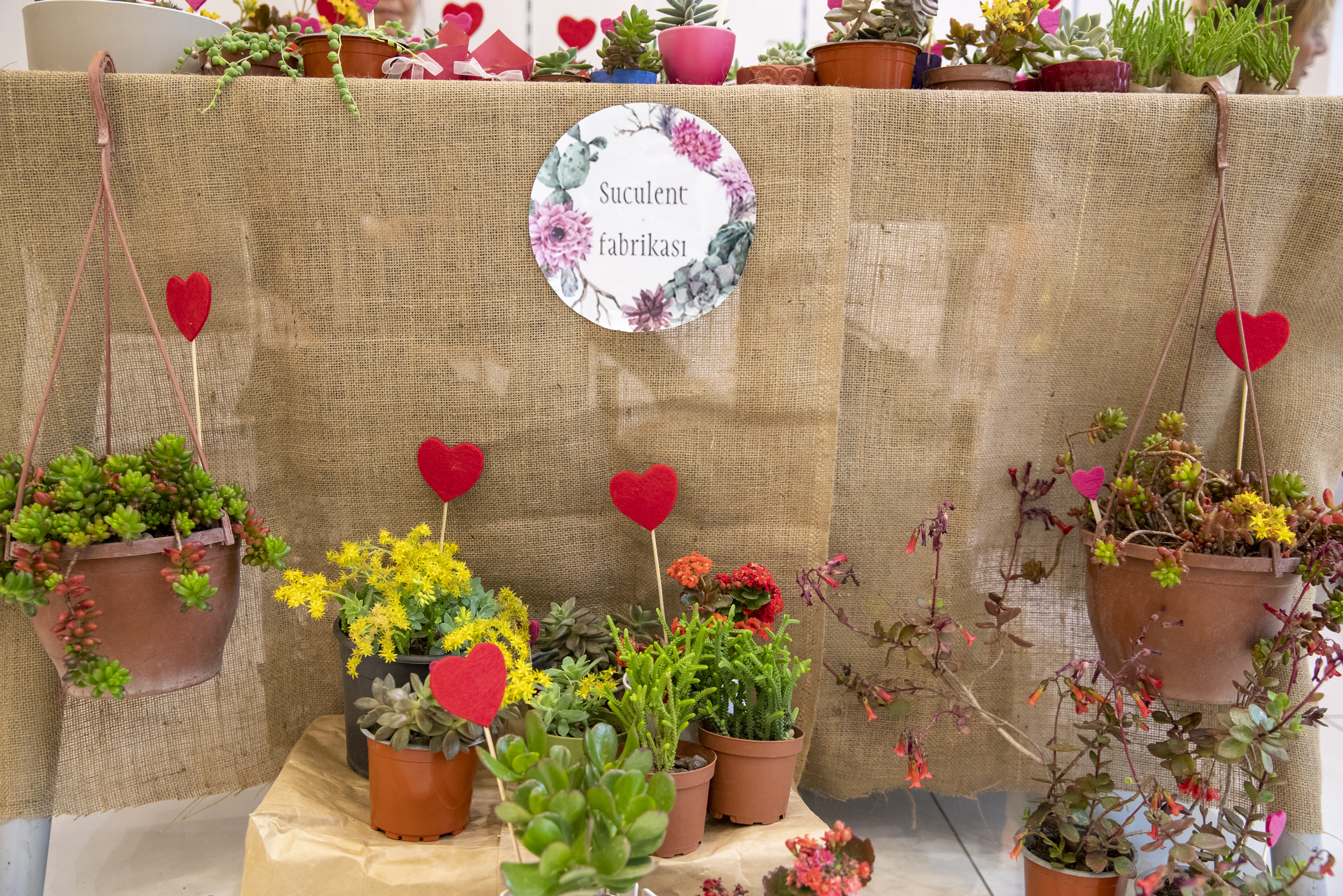 Mersin Büyükşehir Belediyesi, farklı