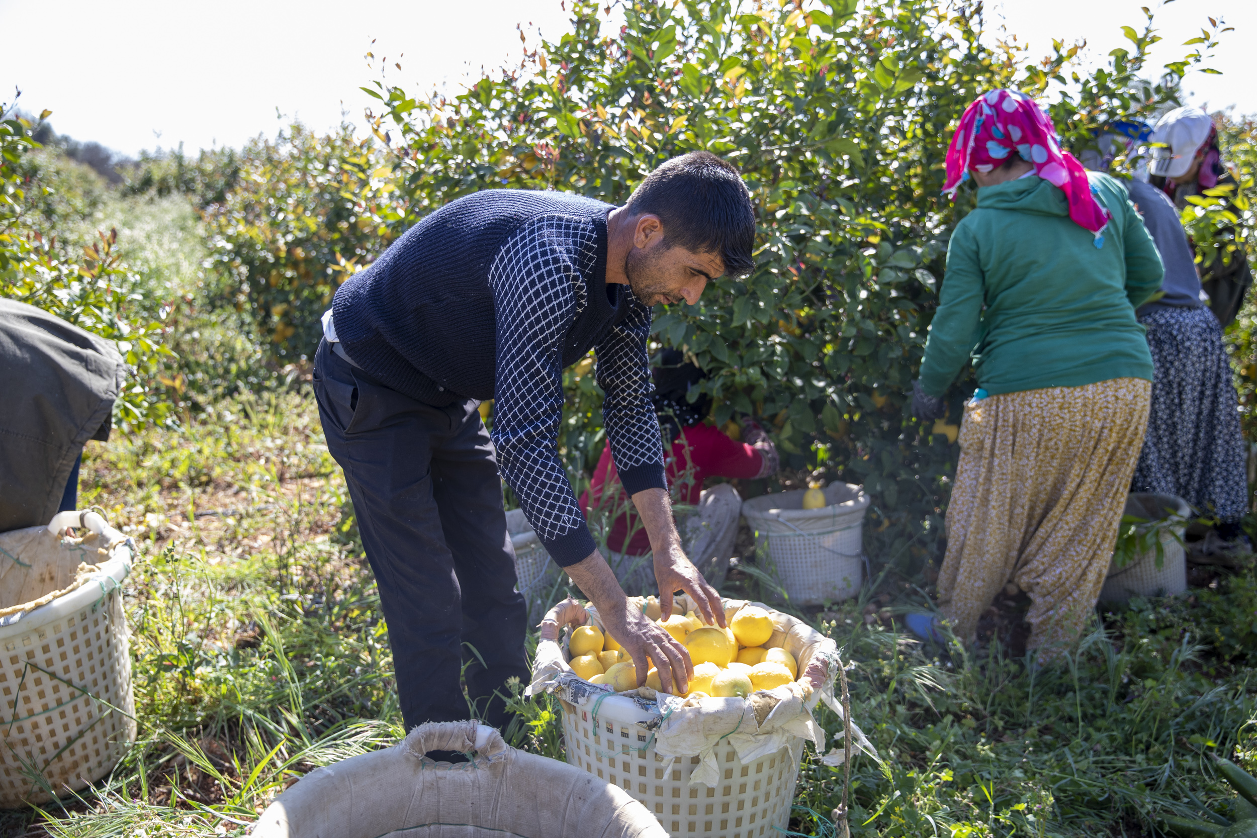 Mersin Büyükşehir Belediyesi, üzerinden