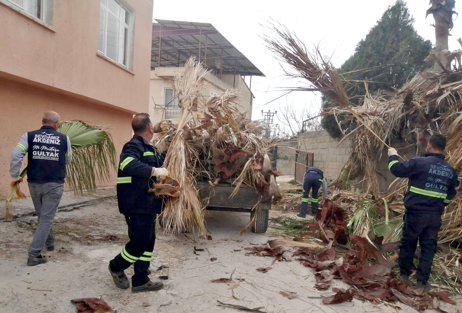 Akdeniz Belediyesi, ilçe sakini