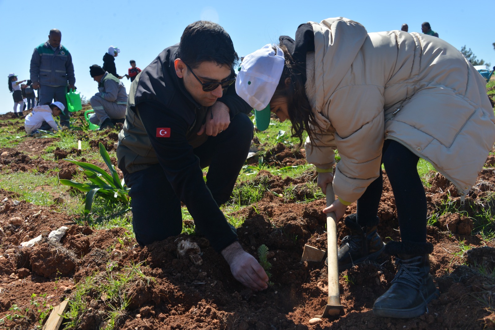 Mersin Orman Bölge Müdürlüğü,