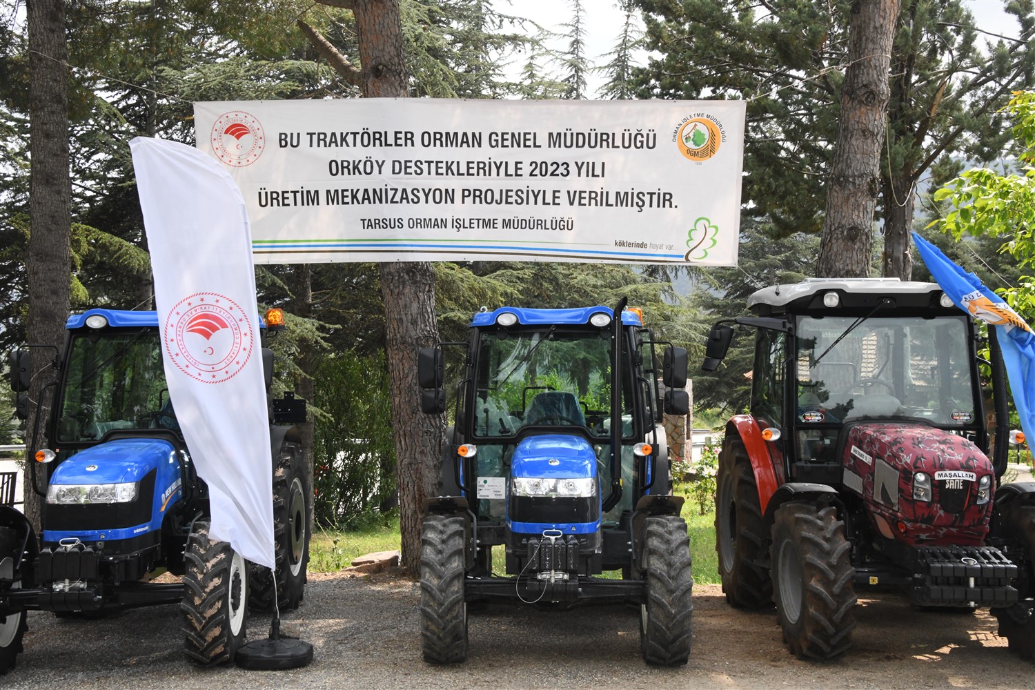 Mersin Orman Bölge Müdürlüğü