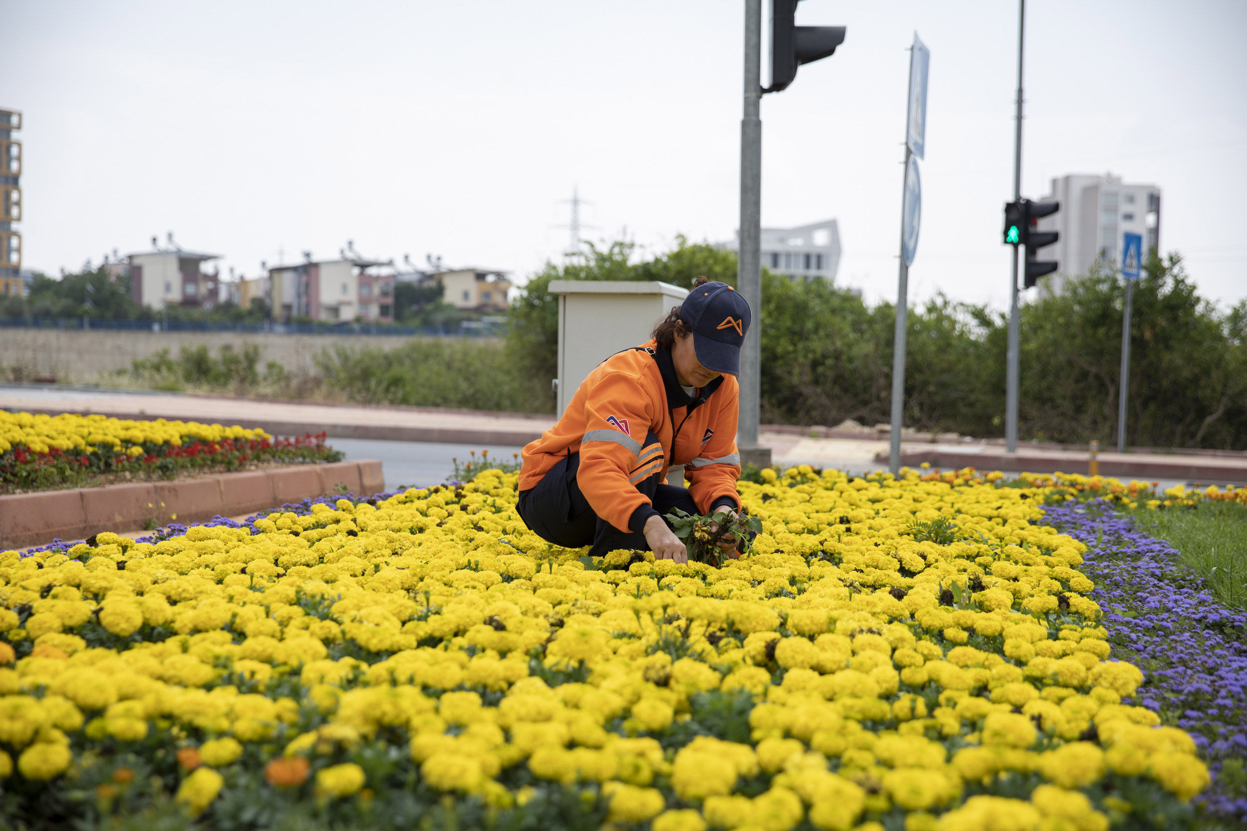 Mersin Büyükşehir Belediyesi, daha