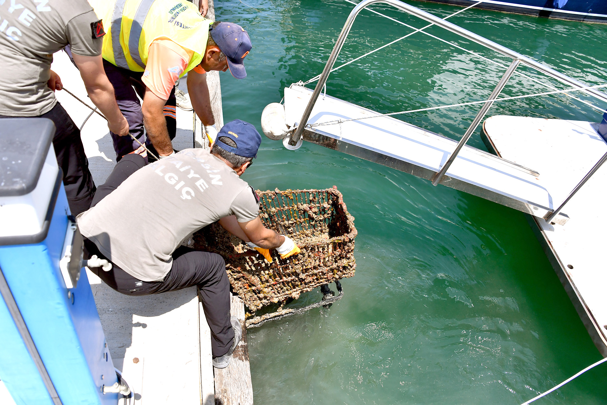 Mersin Büyükşehir Belediyesi, 5-11