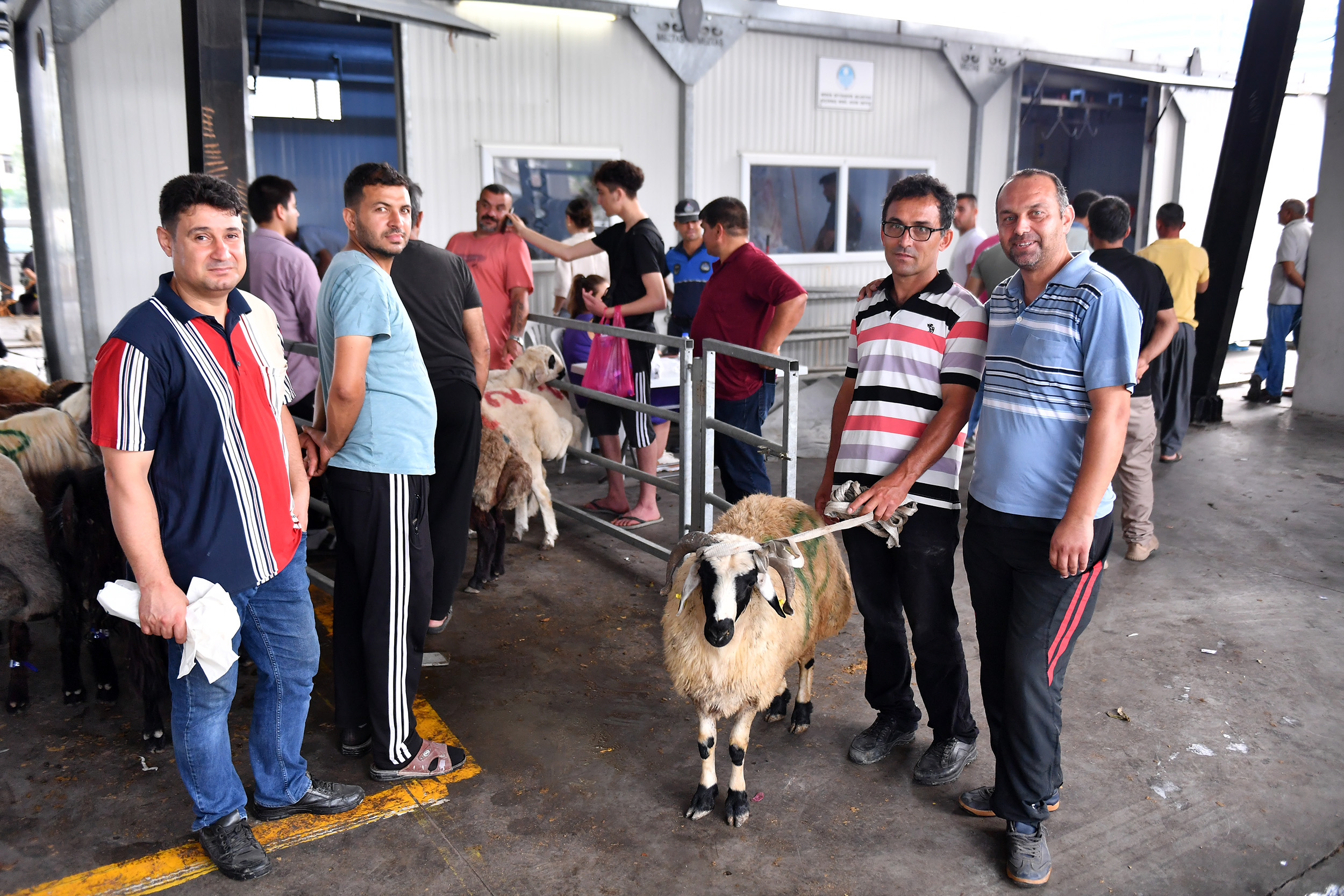 VATANDAŞLAR KURBANLIKLARINI BÜYÜKŞEHİR’E EMANET ETTİ Mersin Büyükşehir Belediyesi Tarımsal