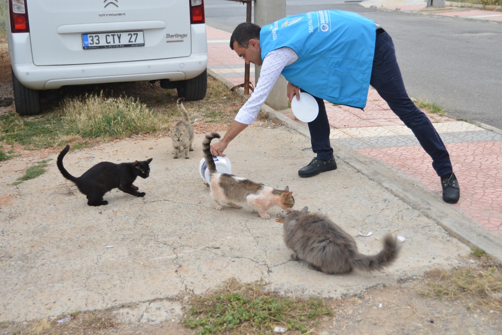 Mersin Üniversitesi(MEÜ) yerleşkesinde bulunan