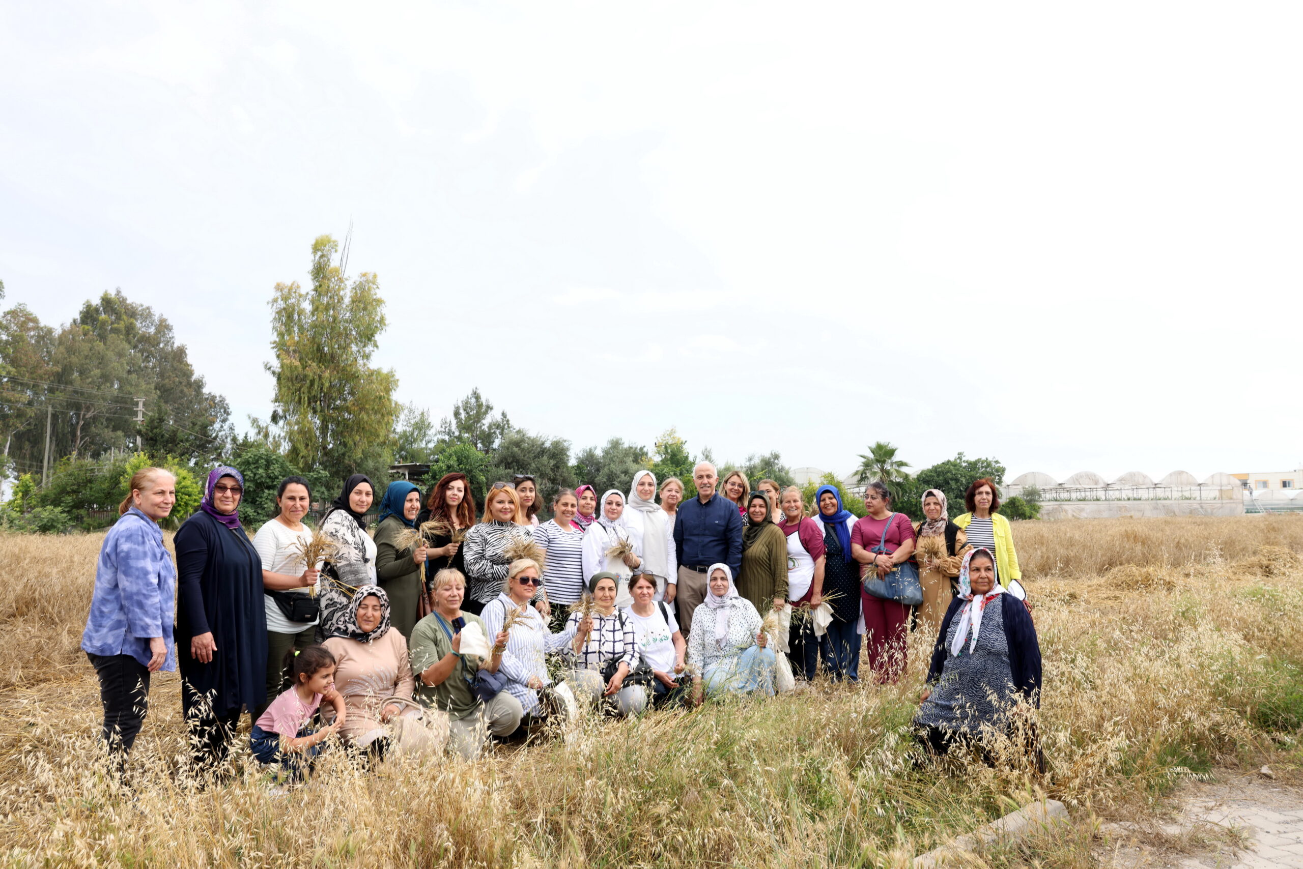10 bin yıllık ata yadigârı karakılçık tohumları, deneme amacı ile toprakla buluşturulmuştu Akdeniz Belediyesi’nin, Yenitaşkent bölgesinde,
