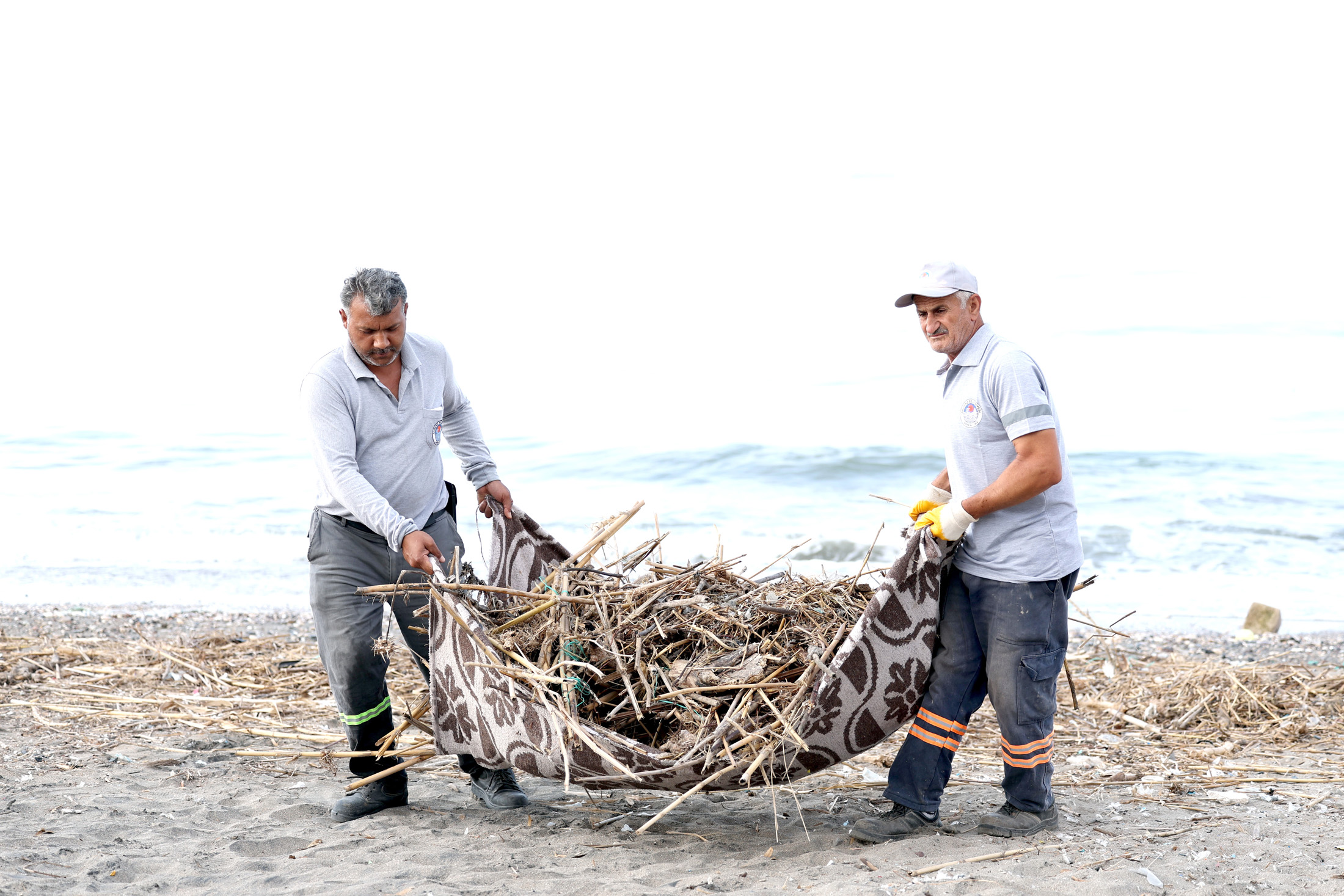 Akdeniz Belediyesi, nesli tükenme