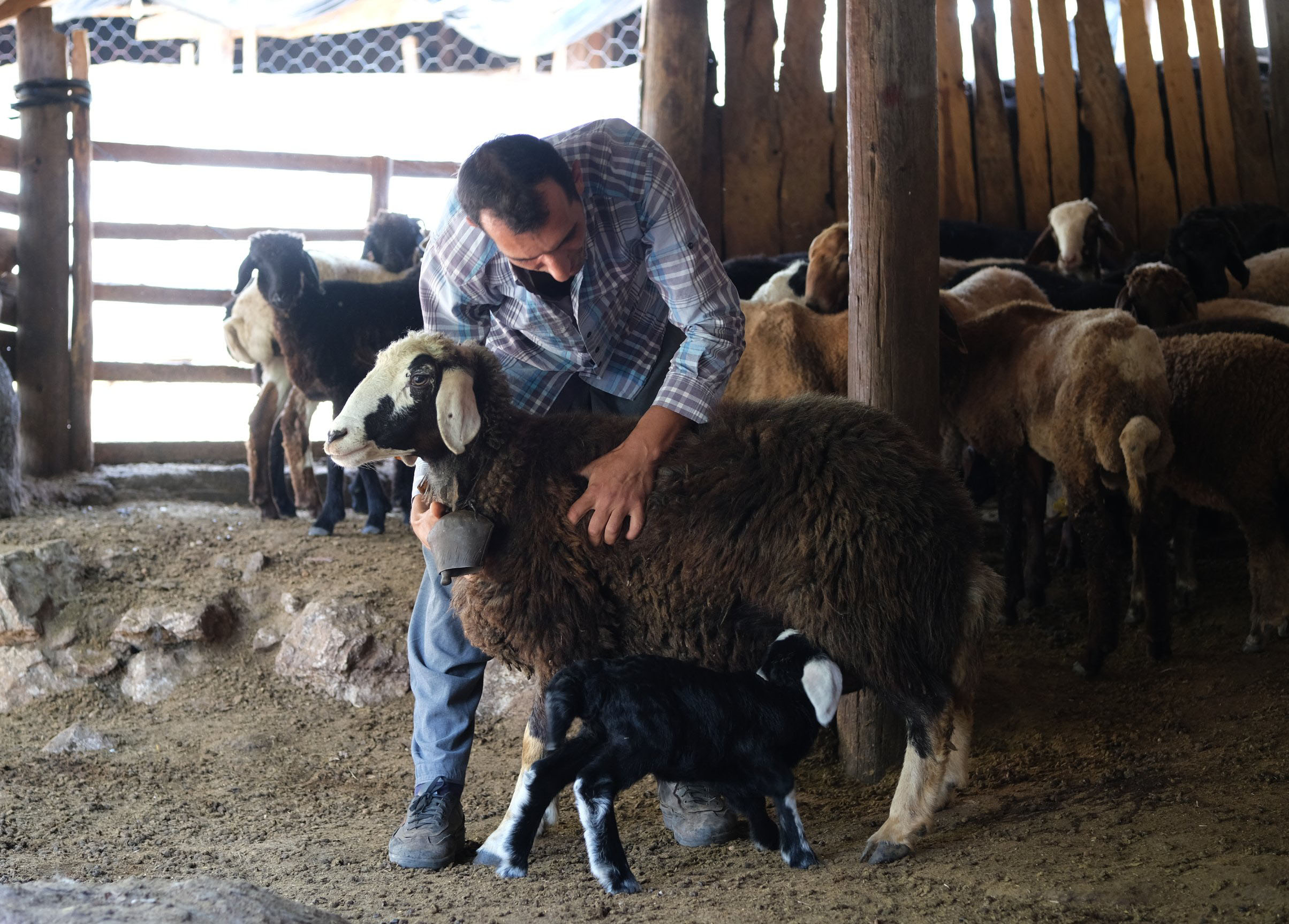 Başkan Vahap Seçer öncülüğünde,