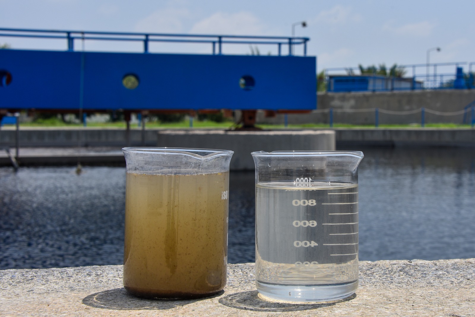 Mersin Büyükşehir Belediyesi Mersin