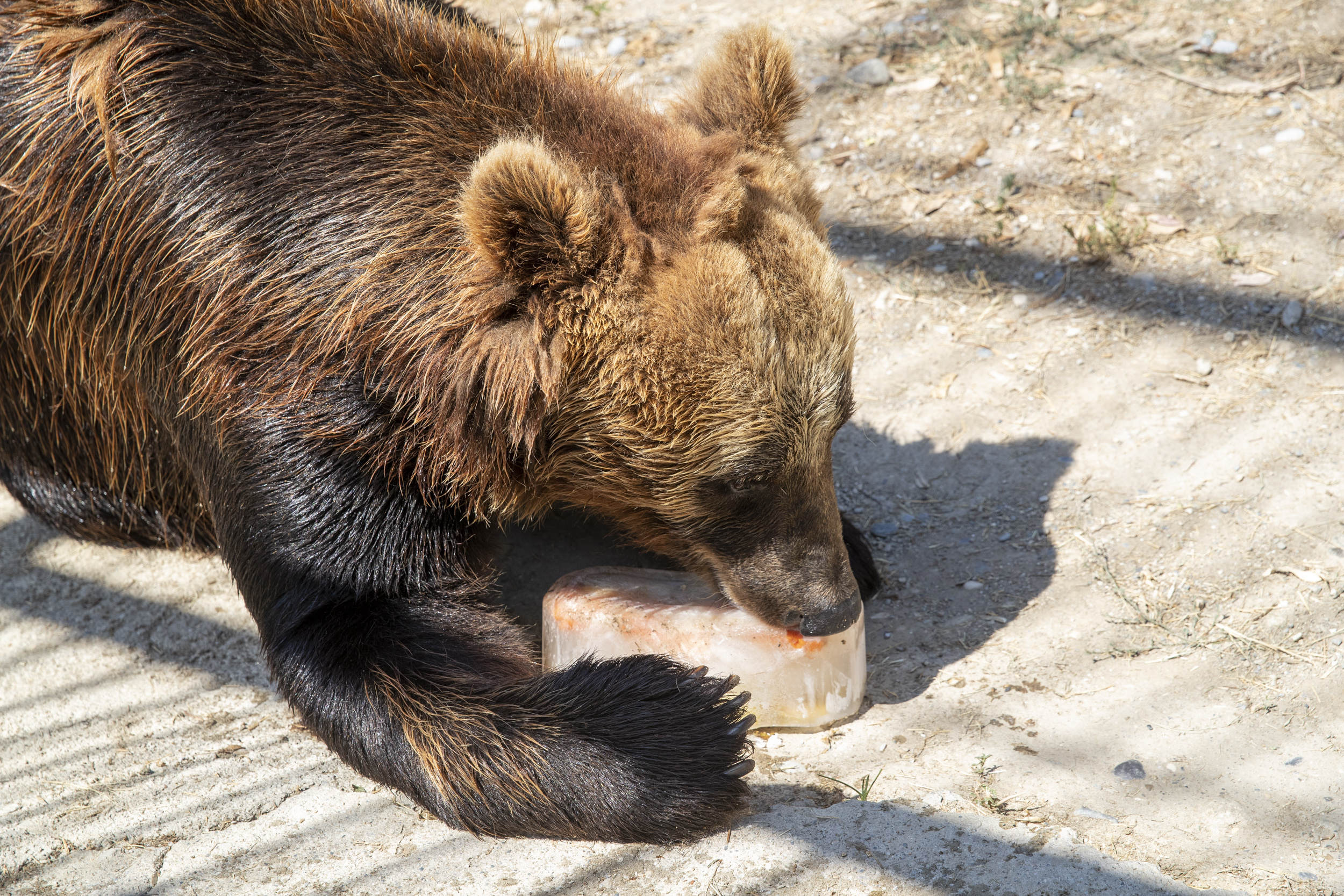 Mersin Büyükşehir Belediyesi’ne bağlı